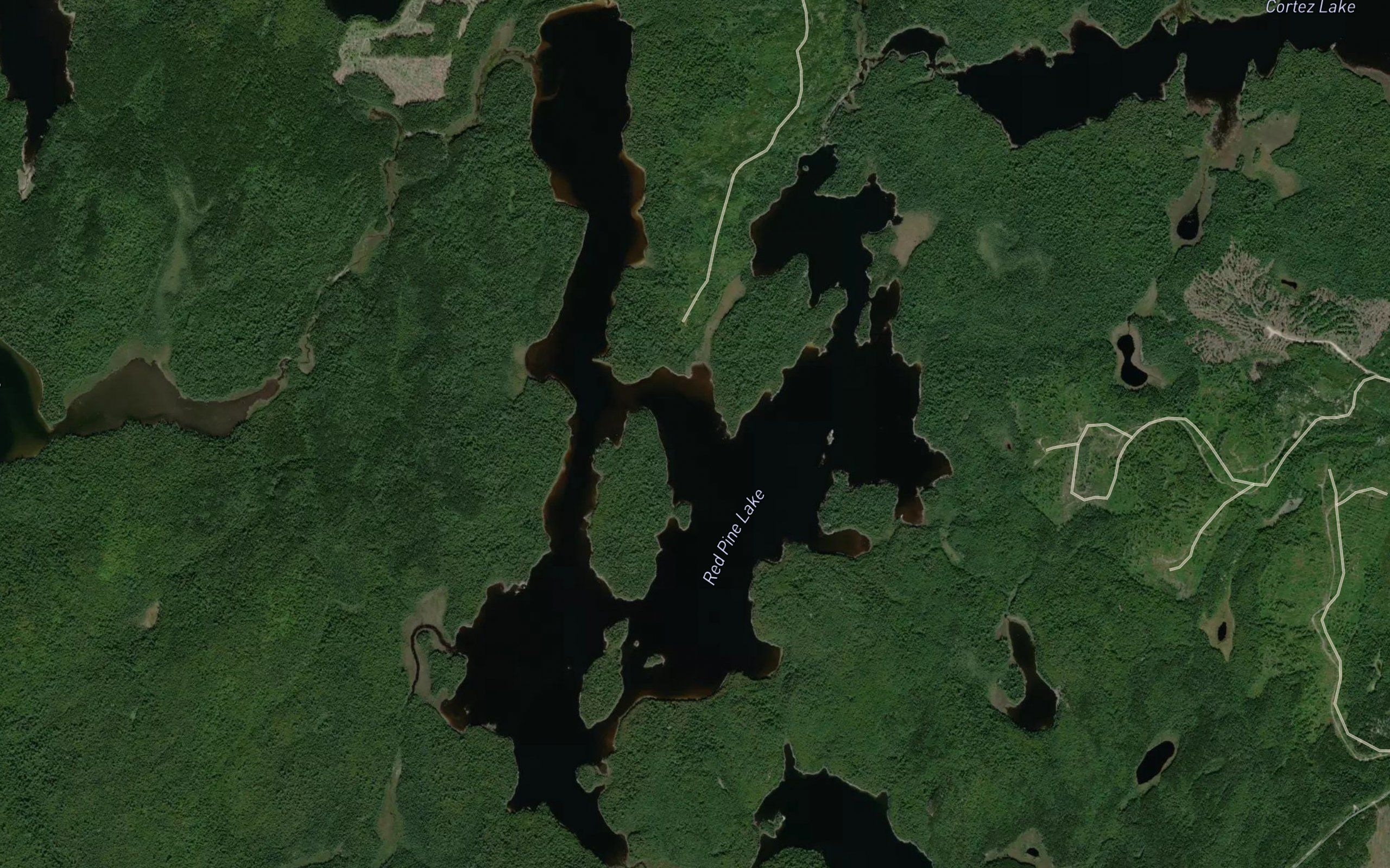 Red Pine Lake