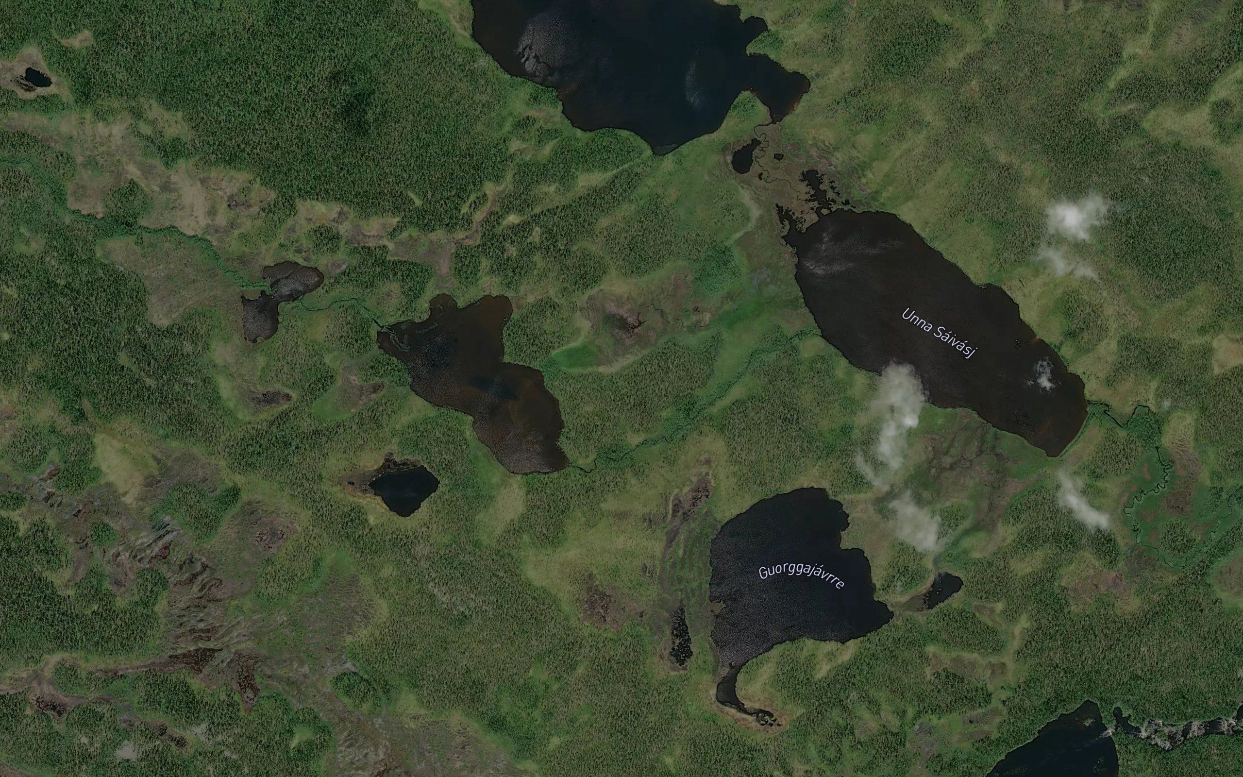 Vuoskojaure