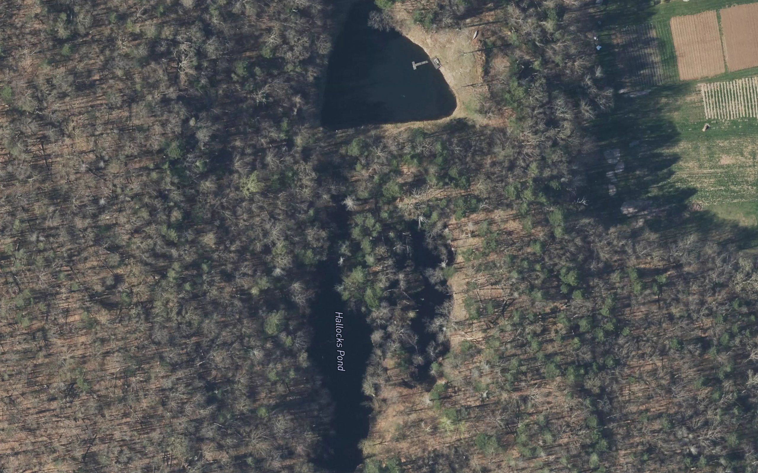 Hallocks Pond