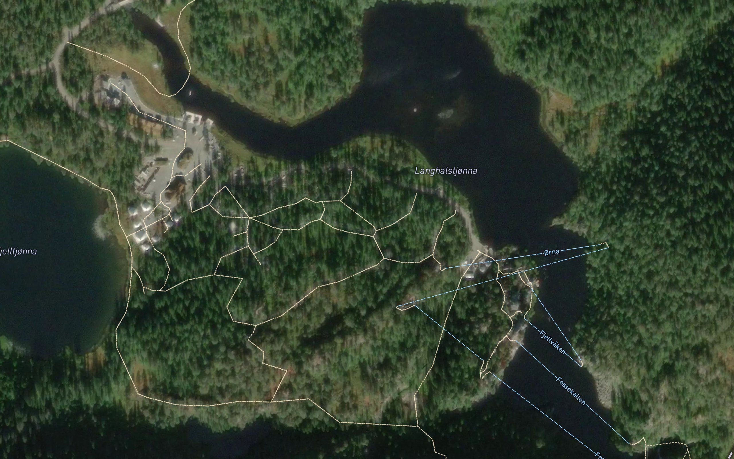 Langhalstjonna