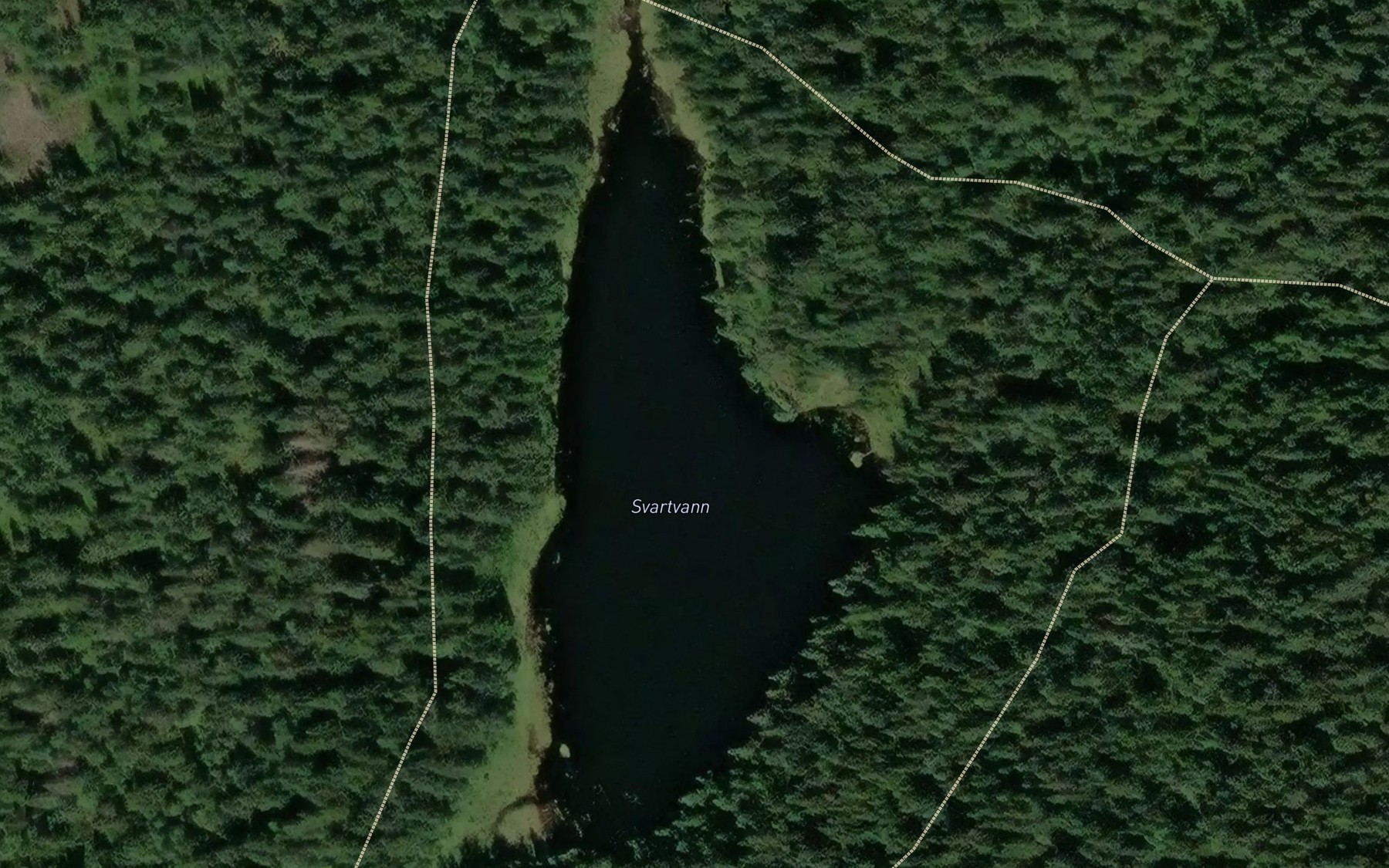 Satellite map of the Svartvatn