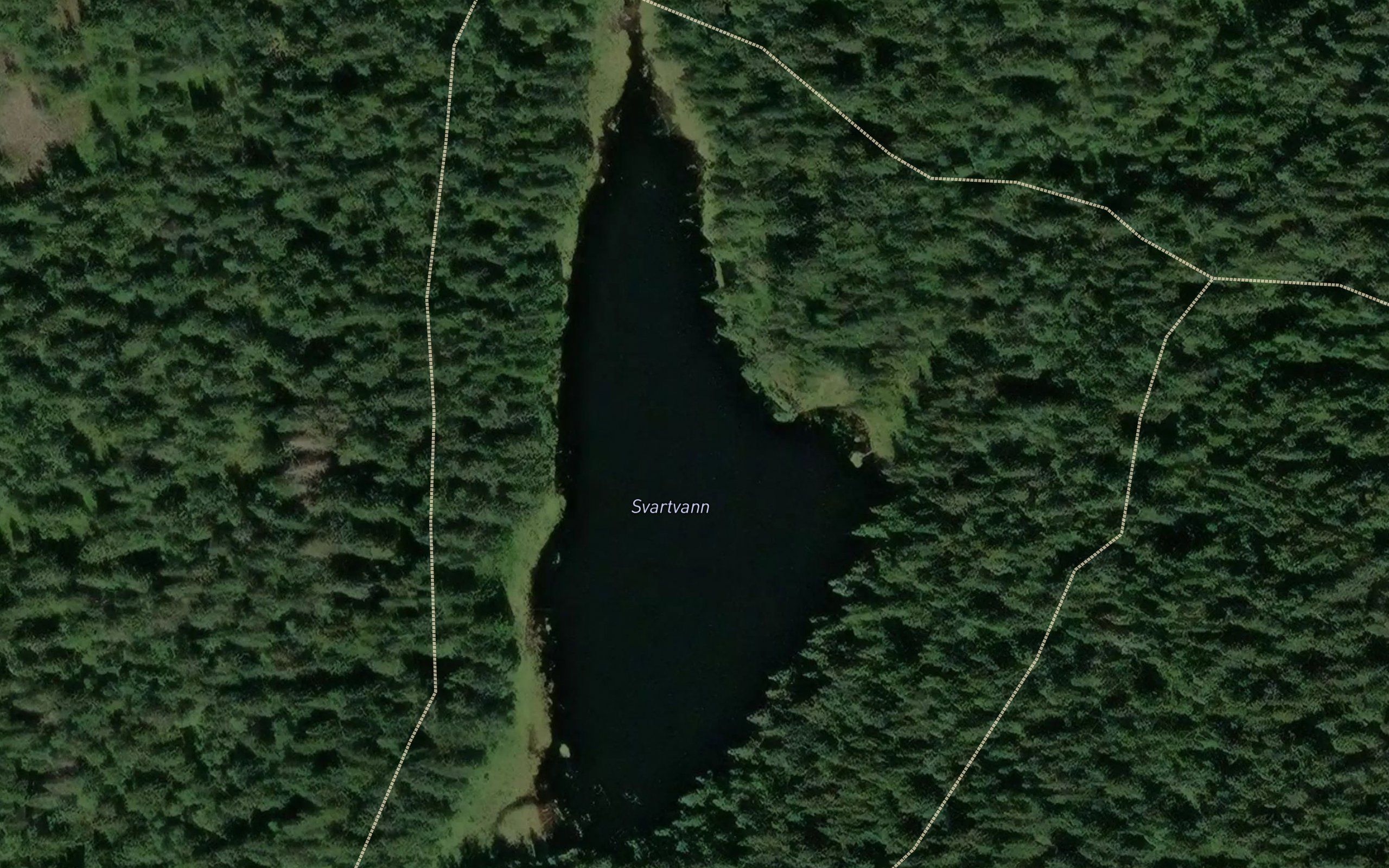Svartvatn