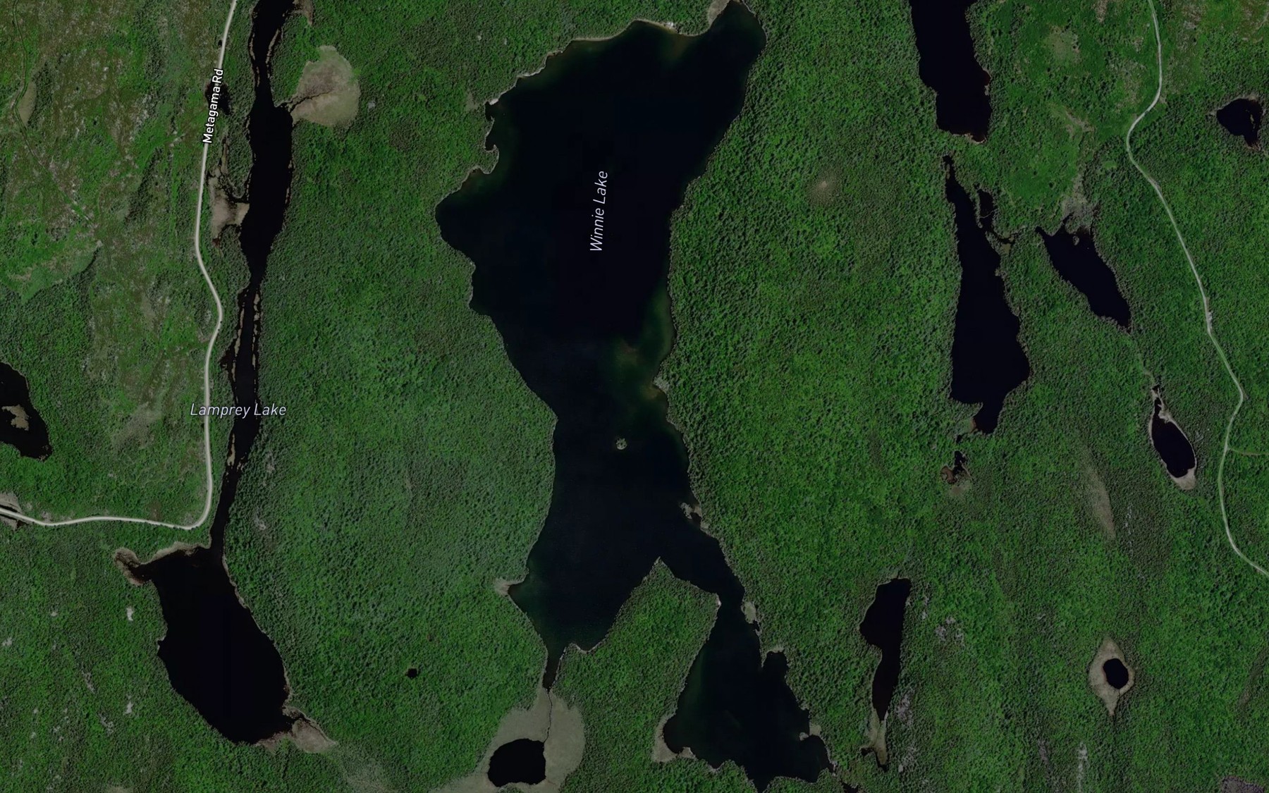 Satellite map of the Winnie Lake