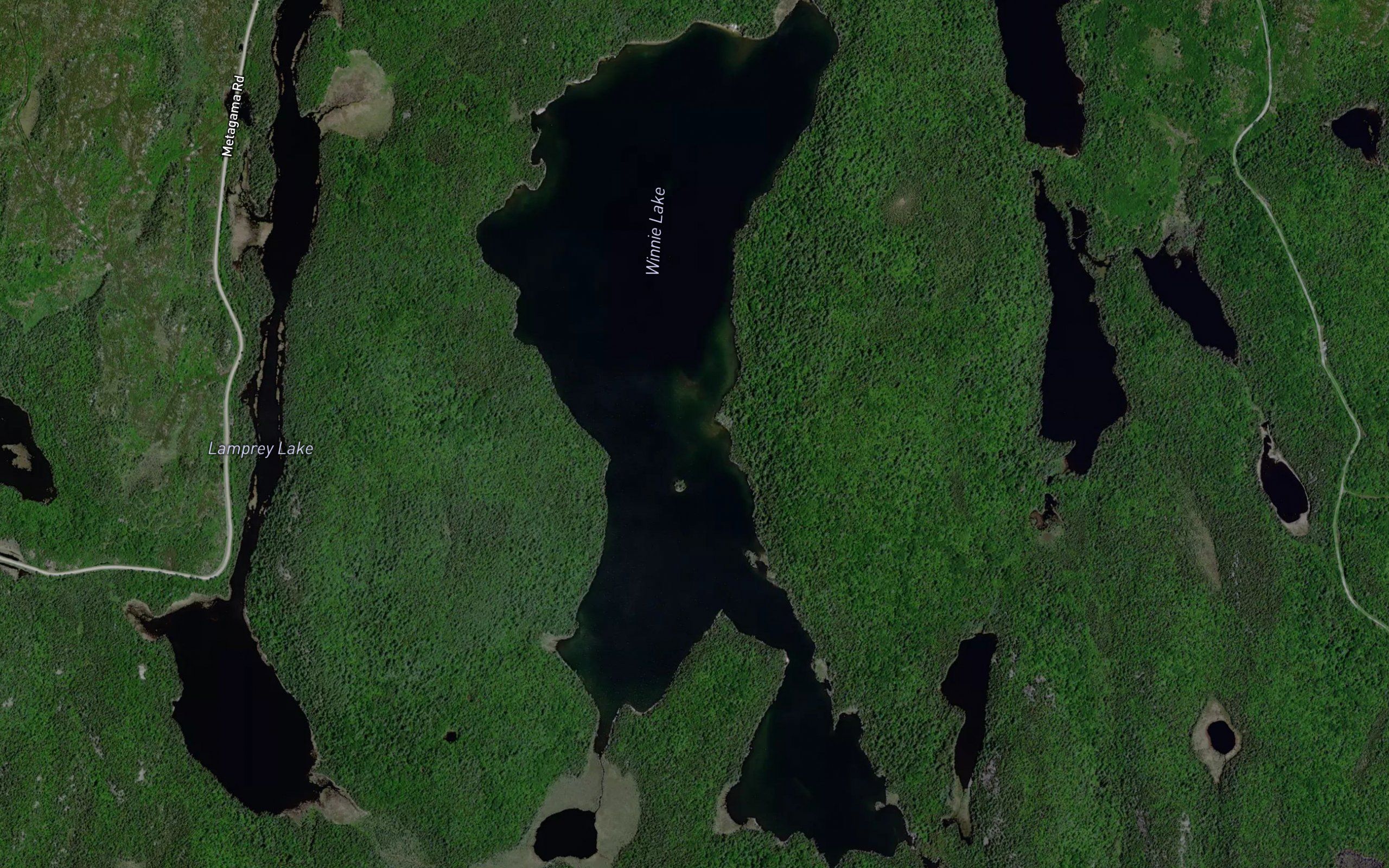 Winnie Lake