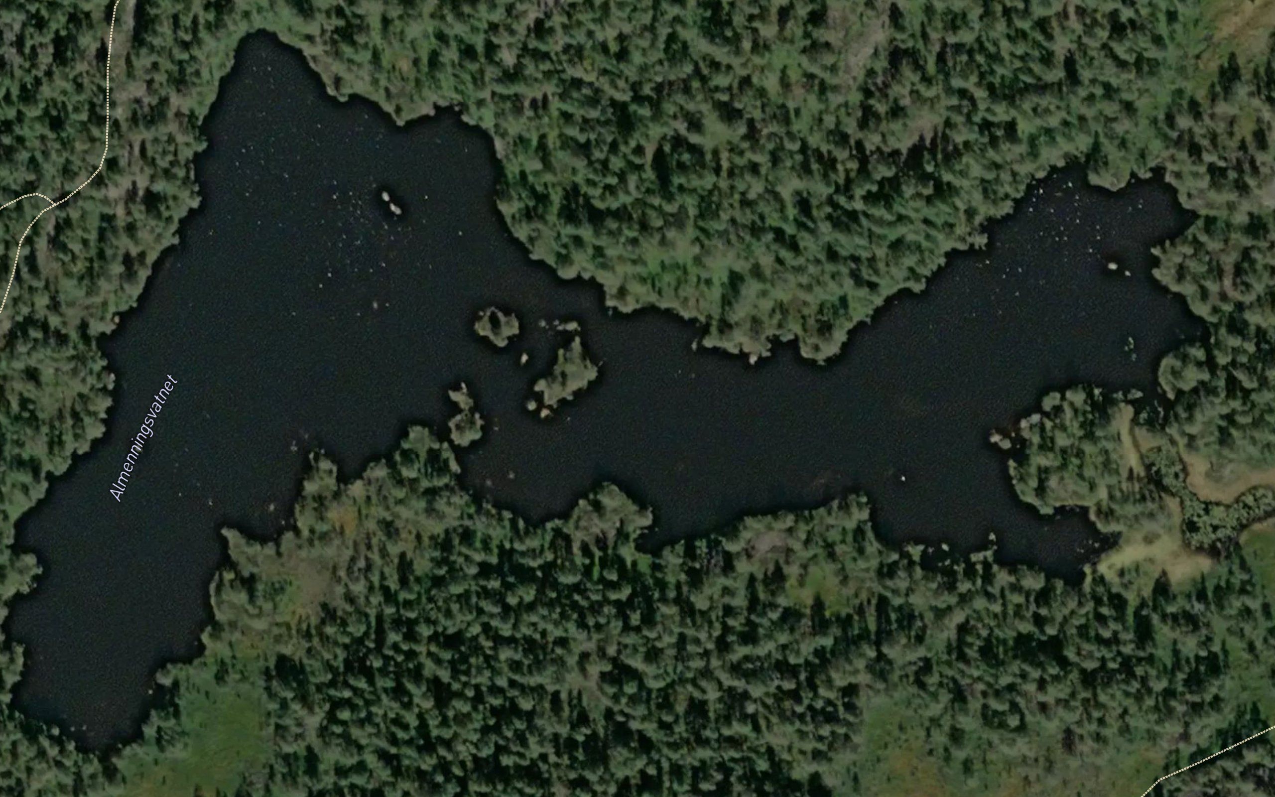 Almenningsvannet