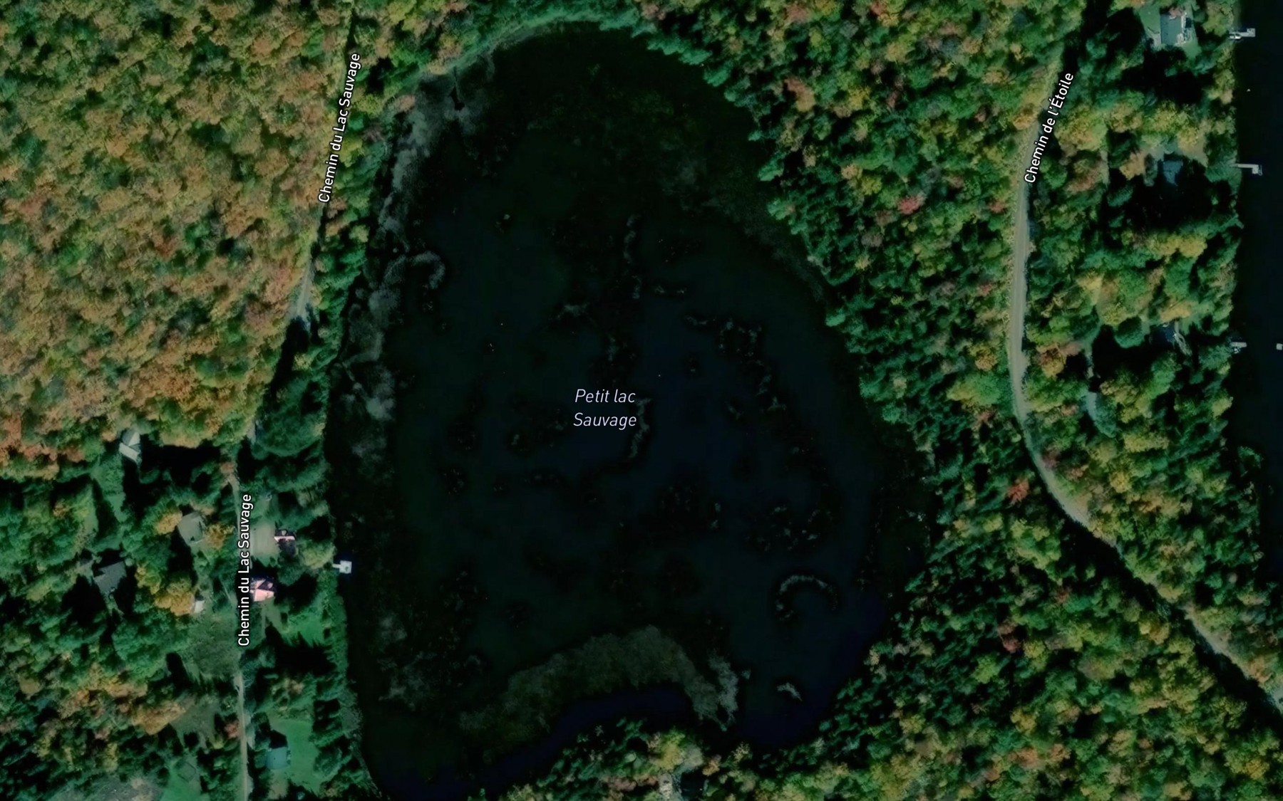 Satellite map of the Petit lac Sauvage