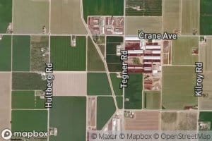 Stevinson Lower Lateral