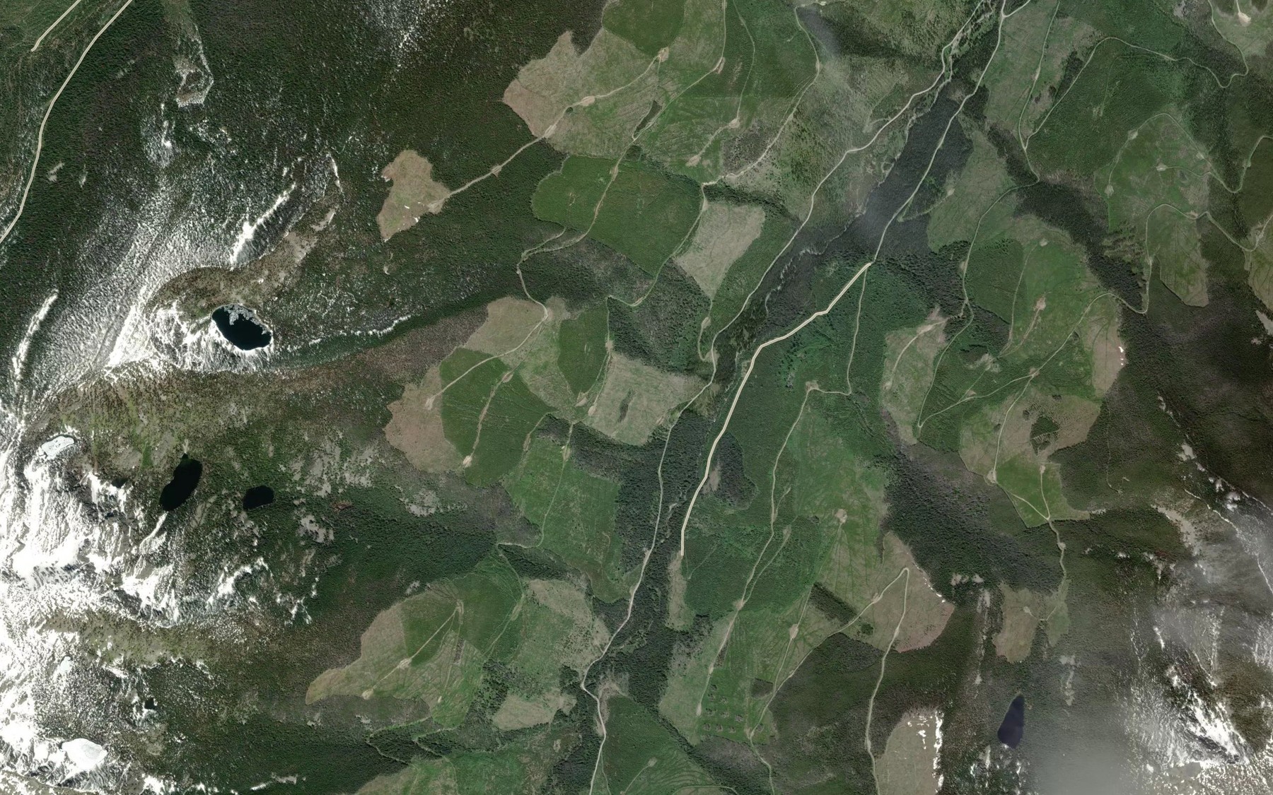 Satellite map of the Walsh Creek