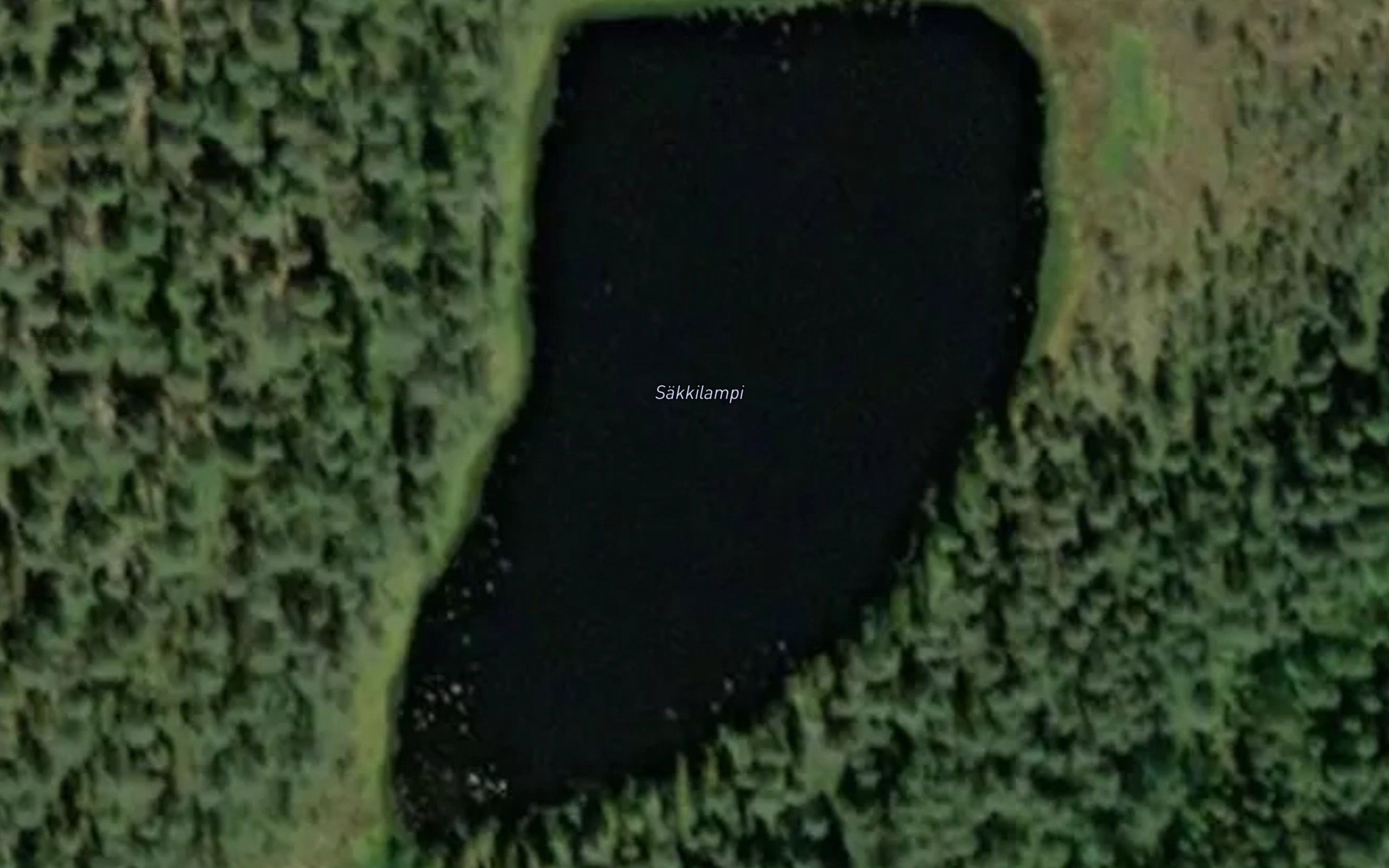 Sakkilampi