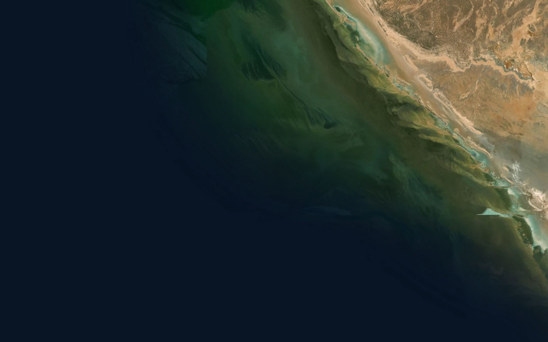 Satellite map of the Wooramel Seagrass Bank
