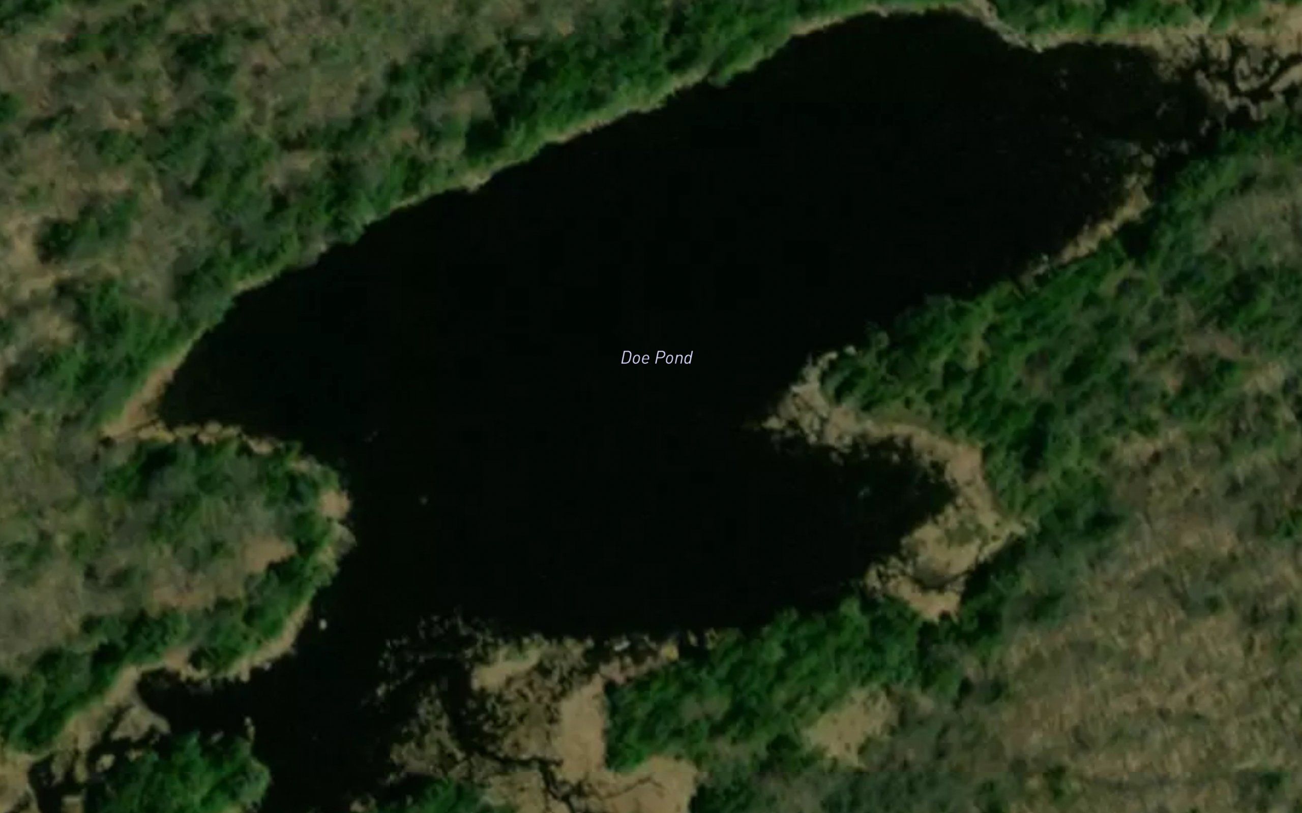 Doe Pond