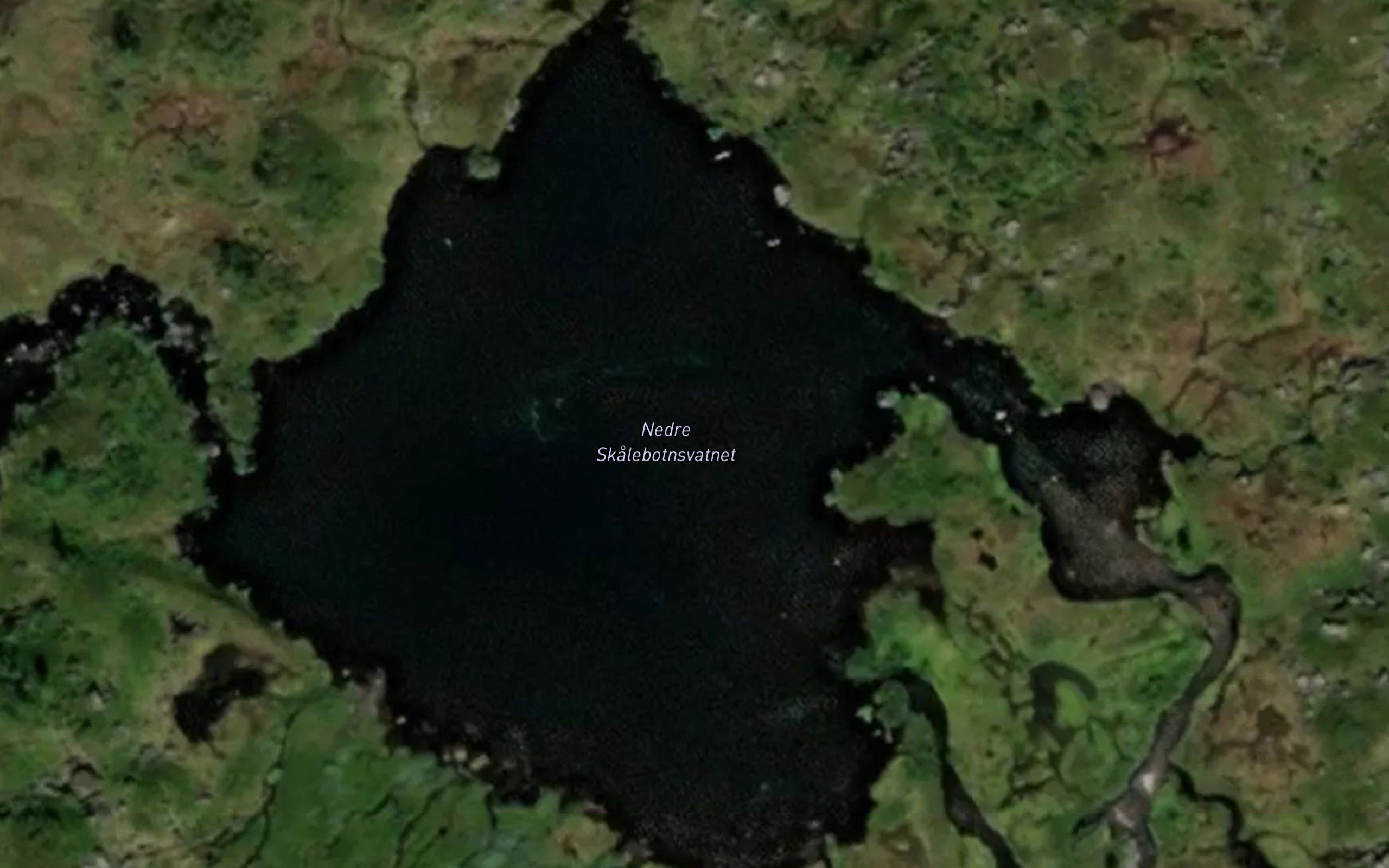 Nedre Skalebotnsvatnet