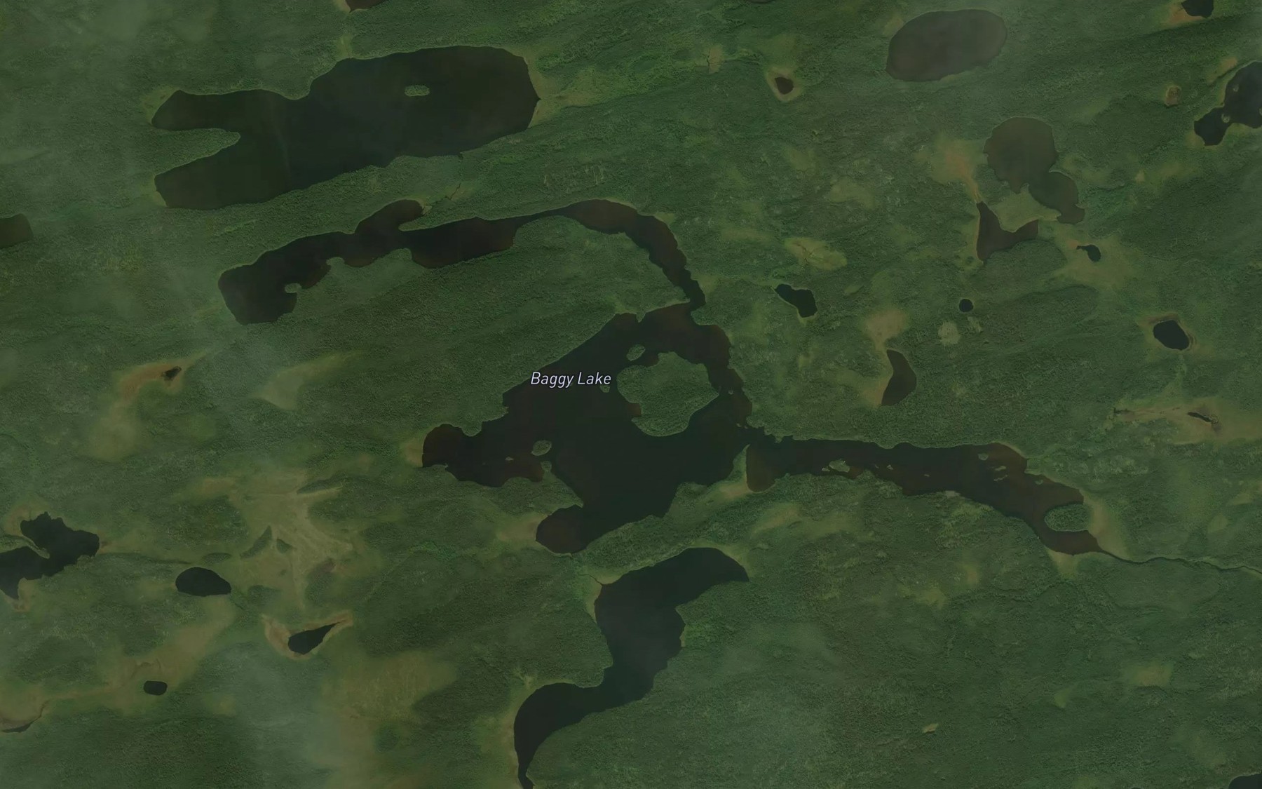 Satellite map of the Baggy Lake
