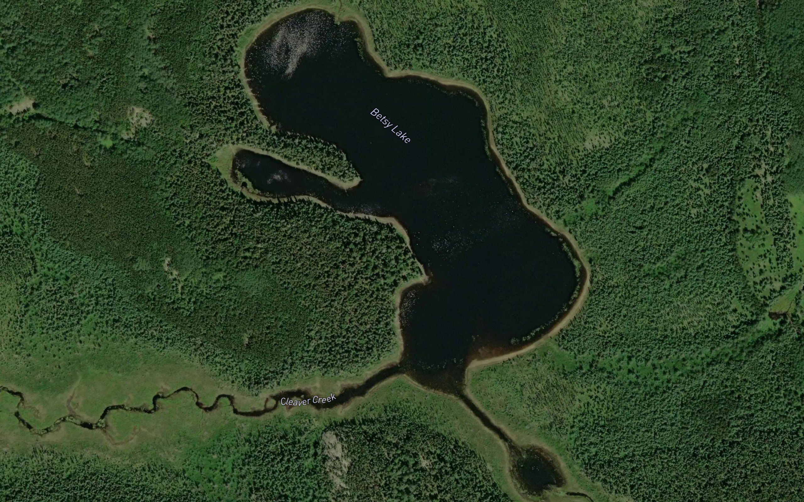 Betsy Lake