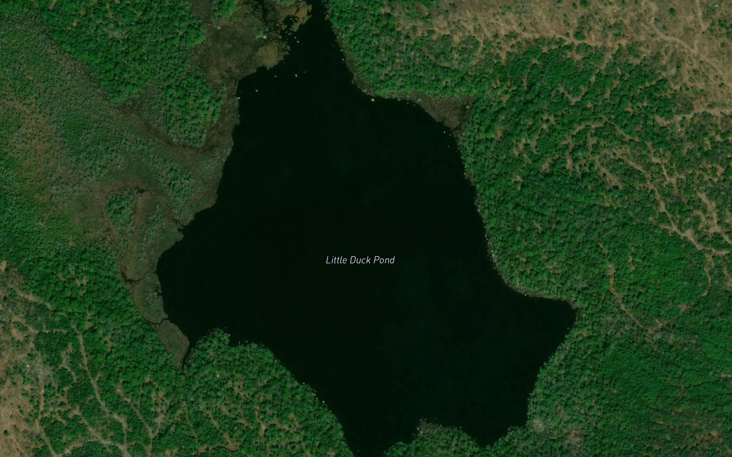 Little Duck Pond