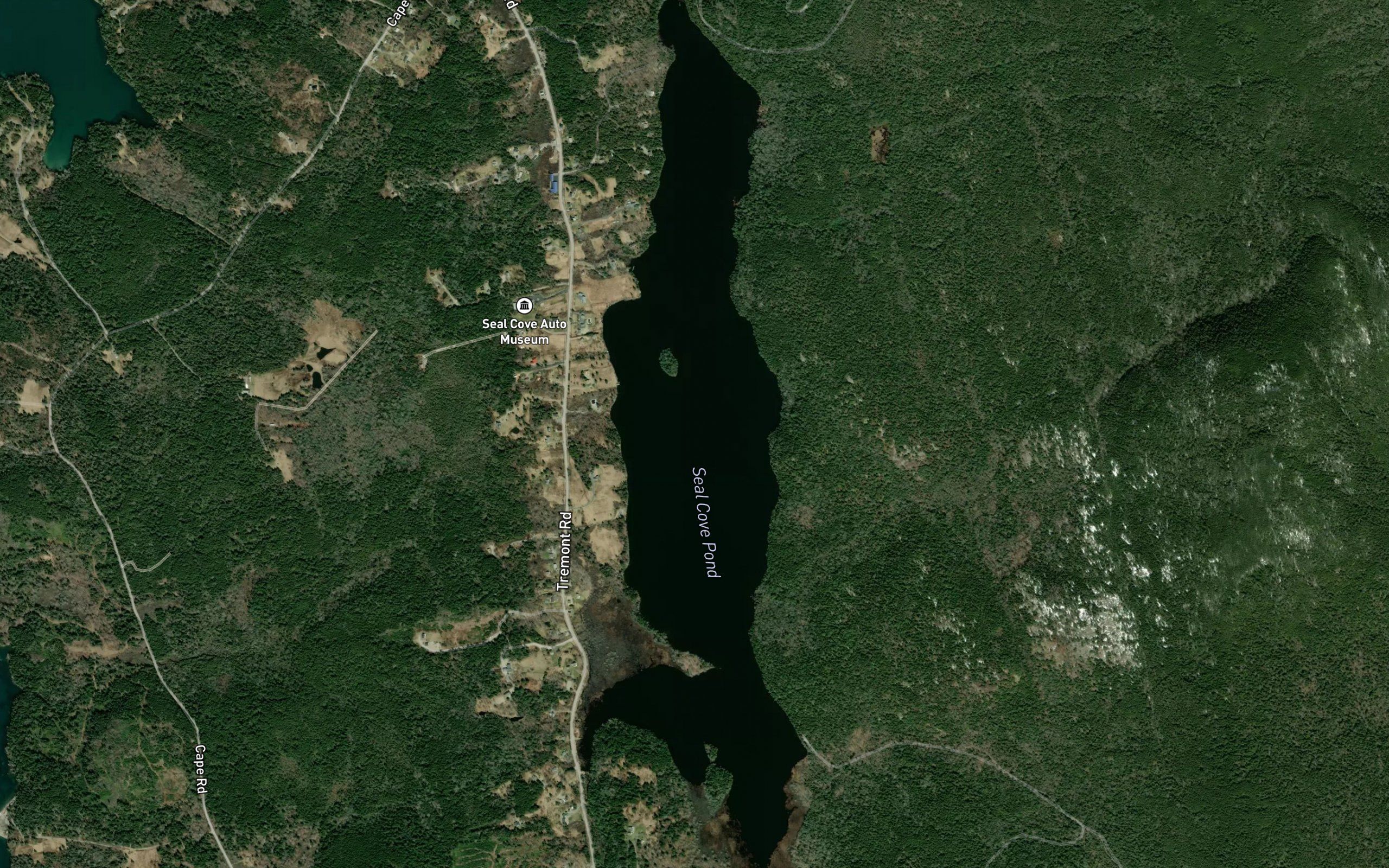 Seal Cove Pond