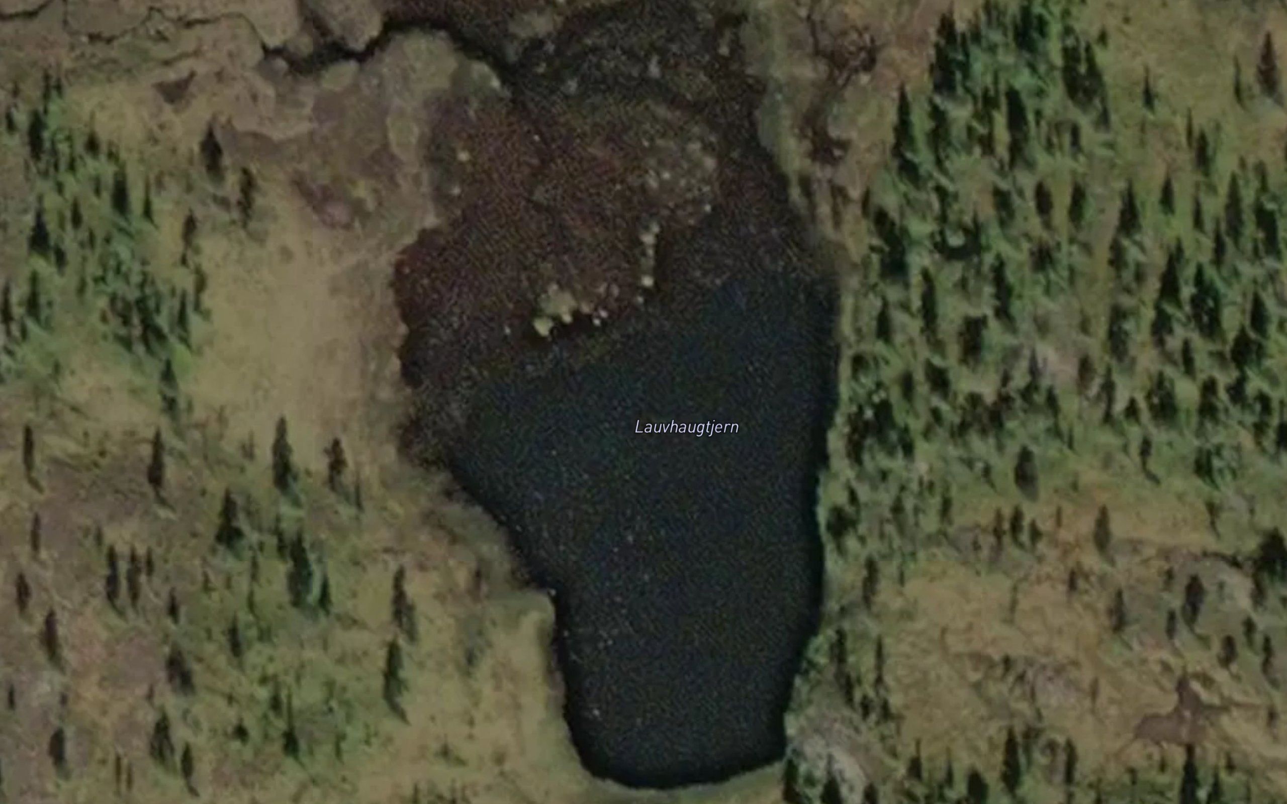 Lauvhaugtjern
