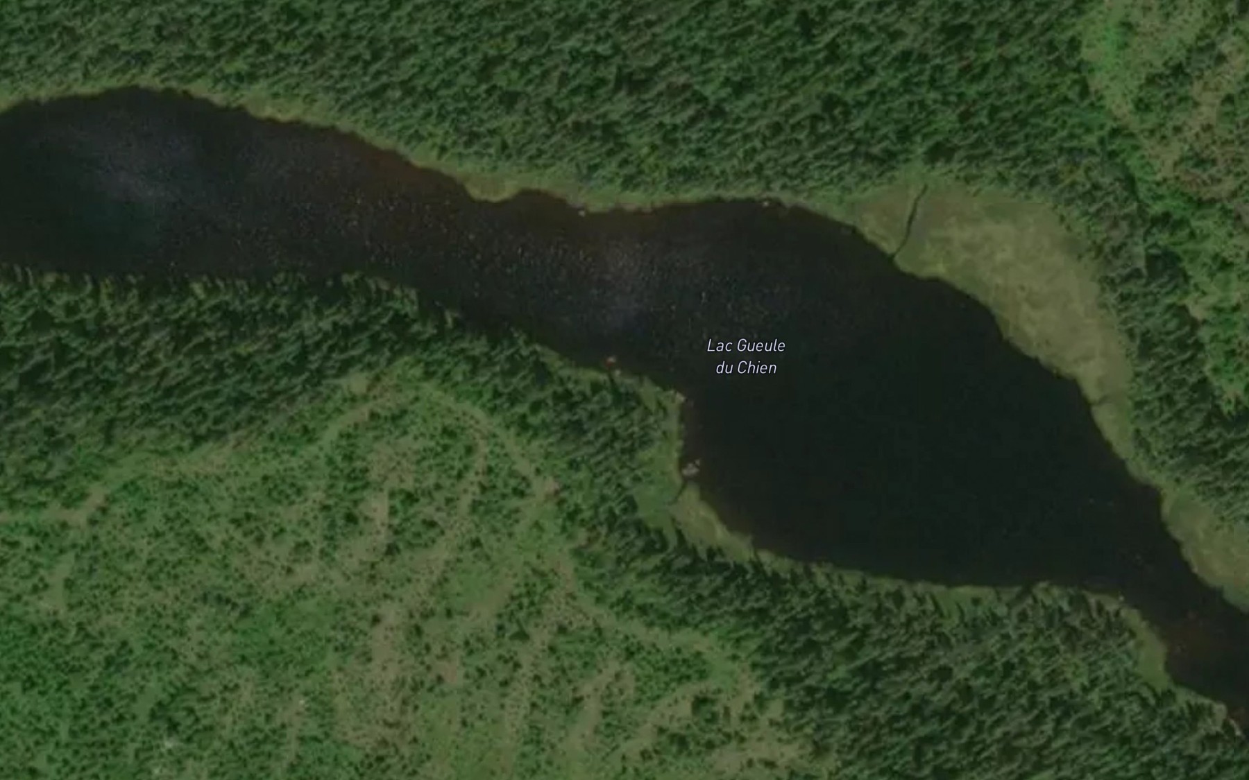 Satellite map of the Lac Gueule du Chien