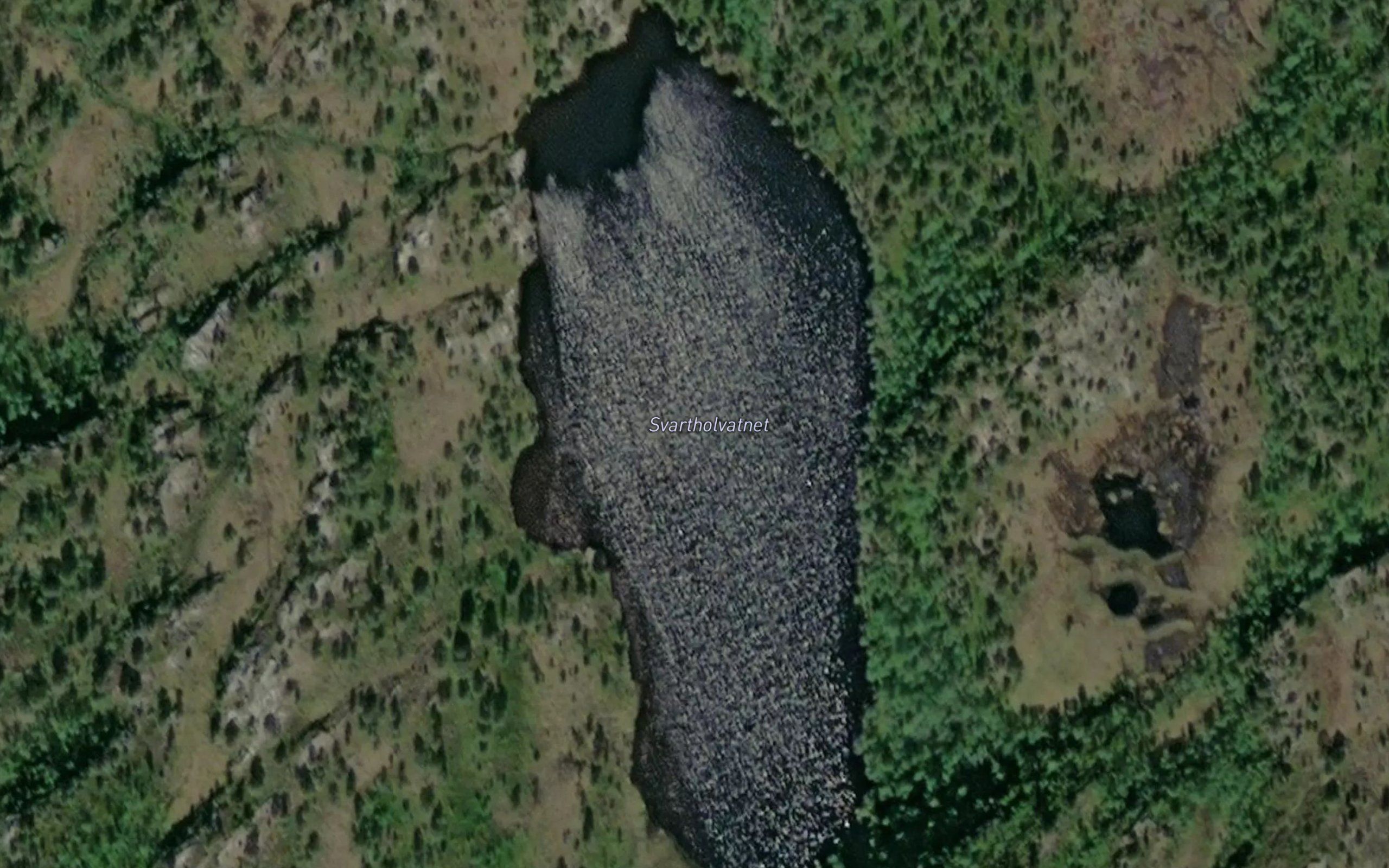 Svarthollvatnet