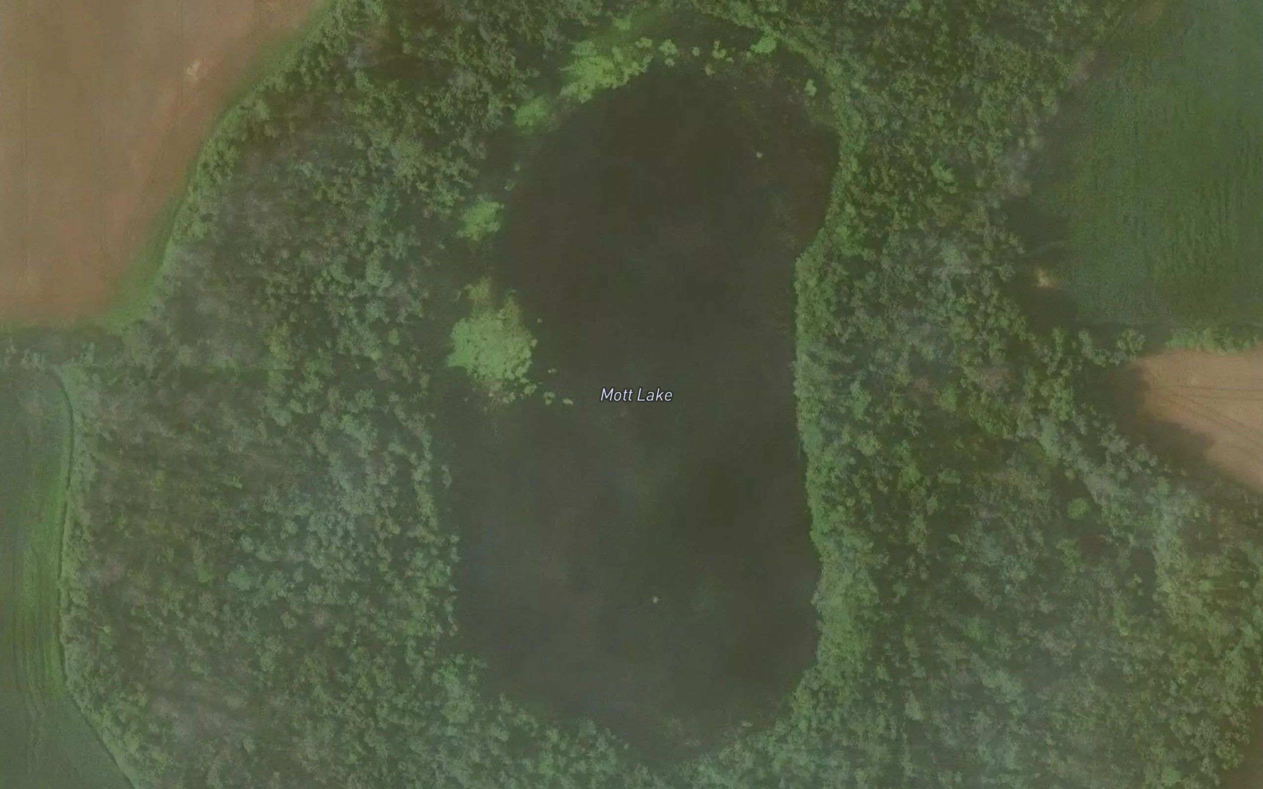 Mott Lake