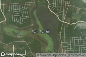 Lac Ladie
