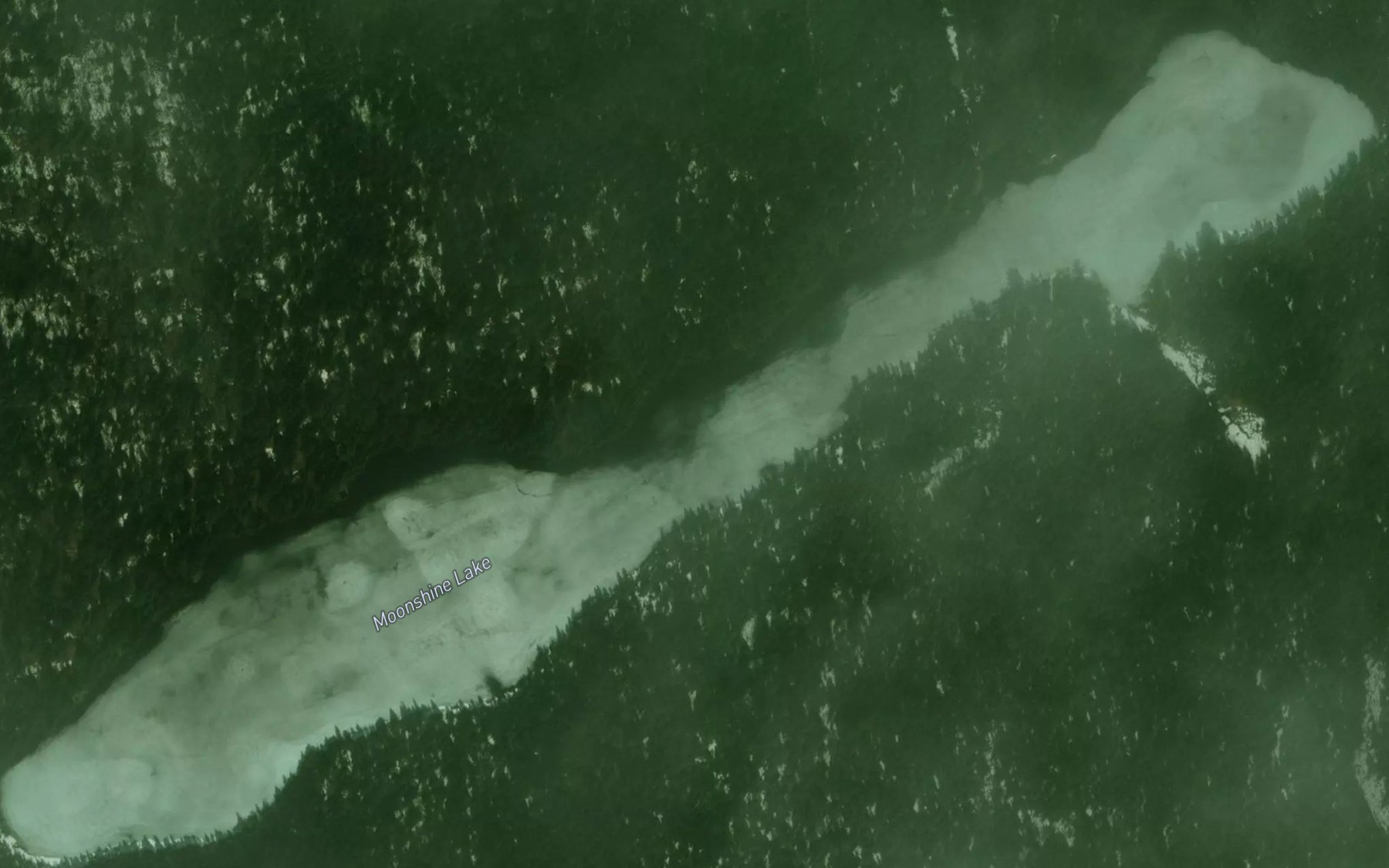 Satellite map of the Moonshine Lake