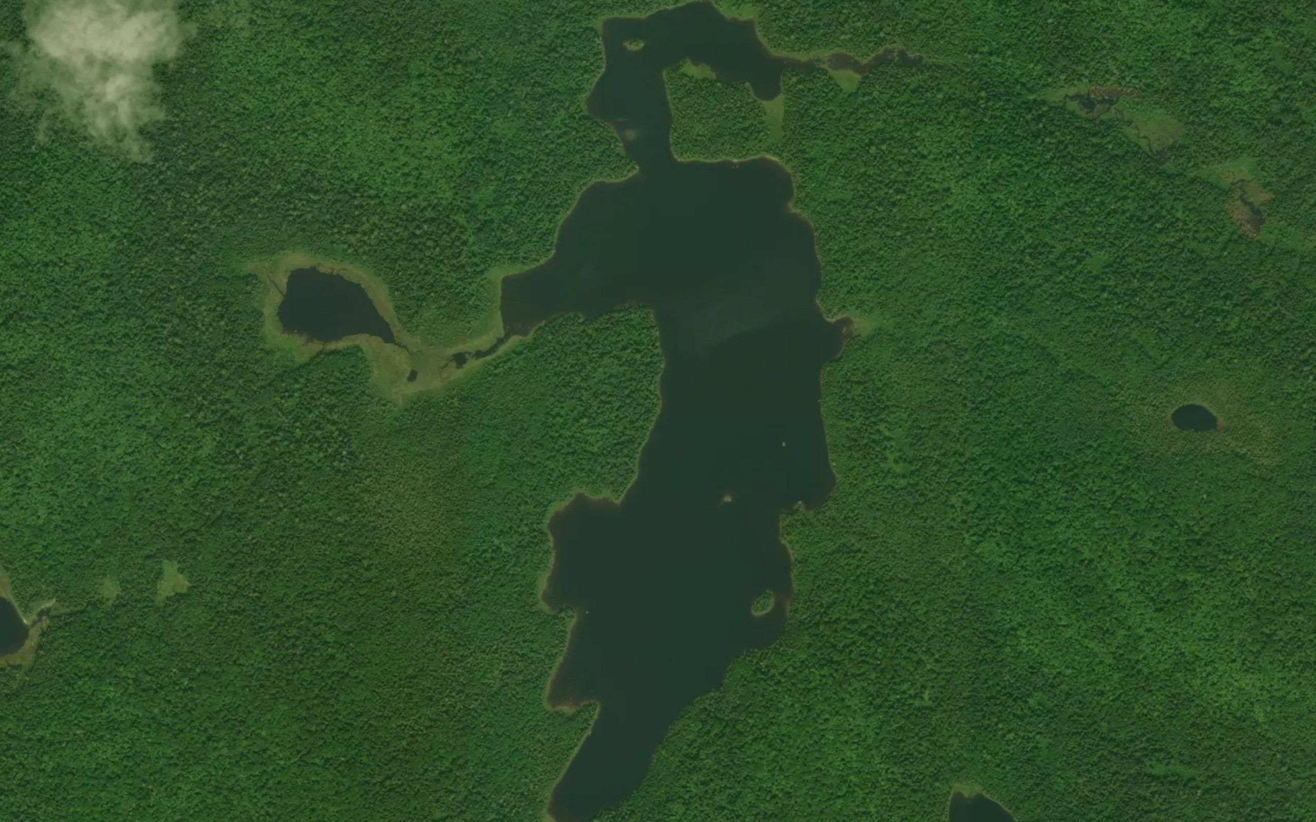 White Birch Lake