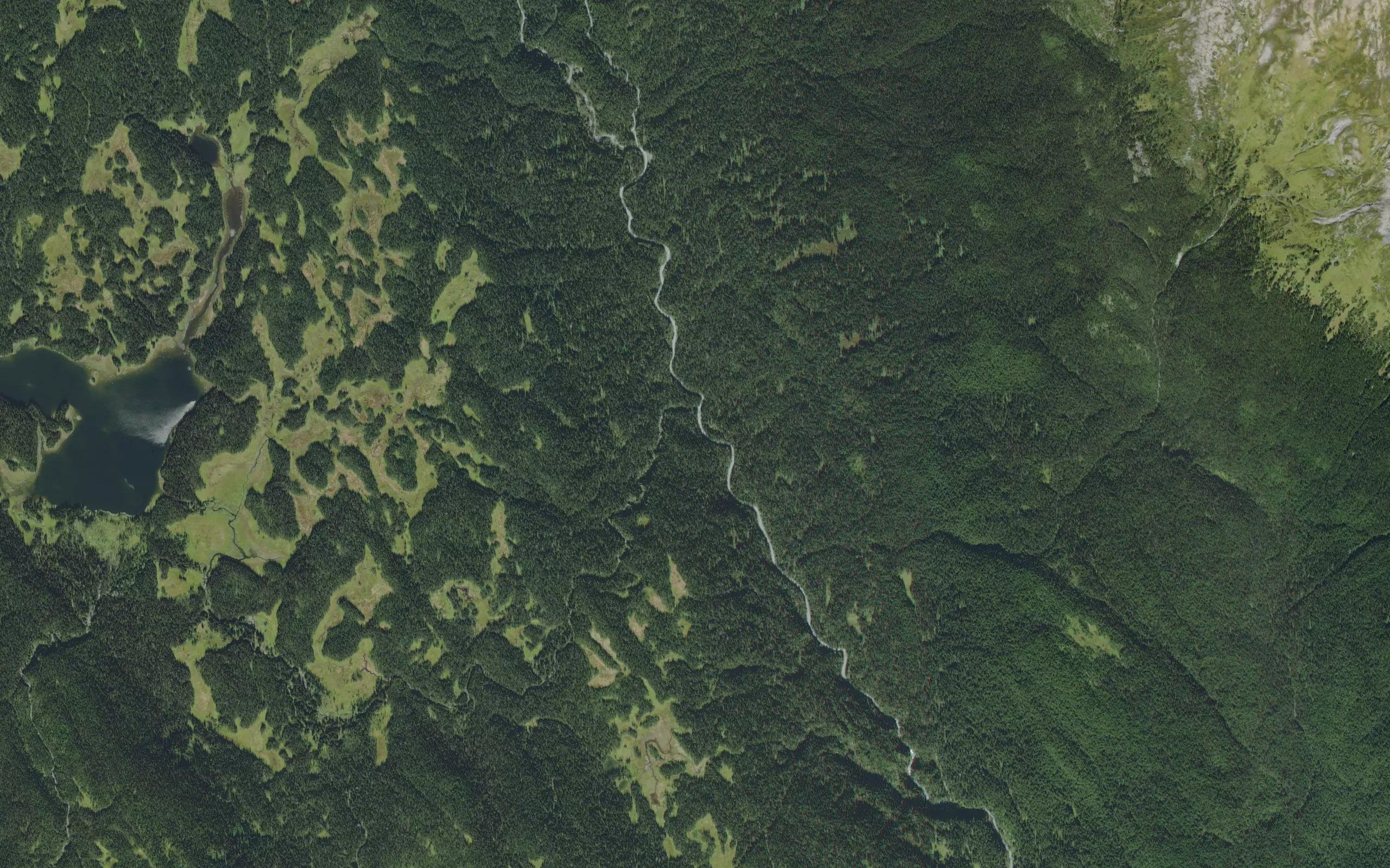 MacIntosh Creek