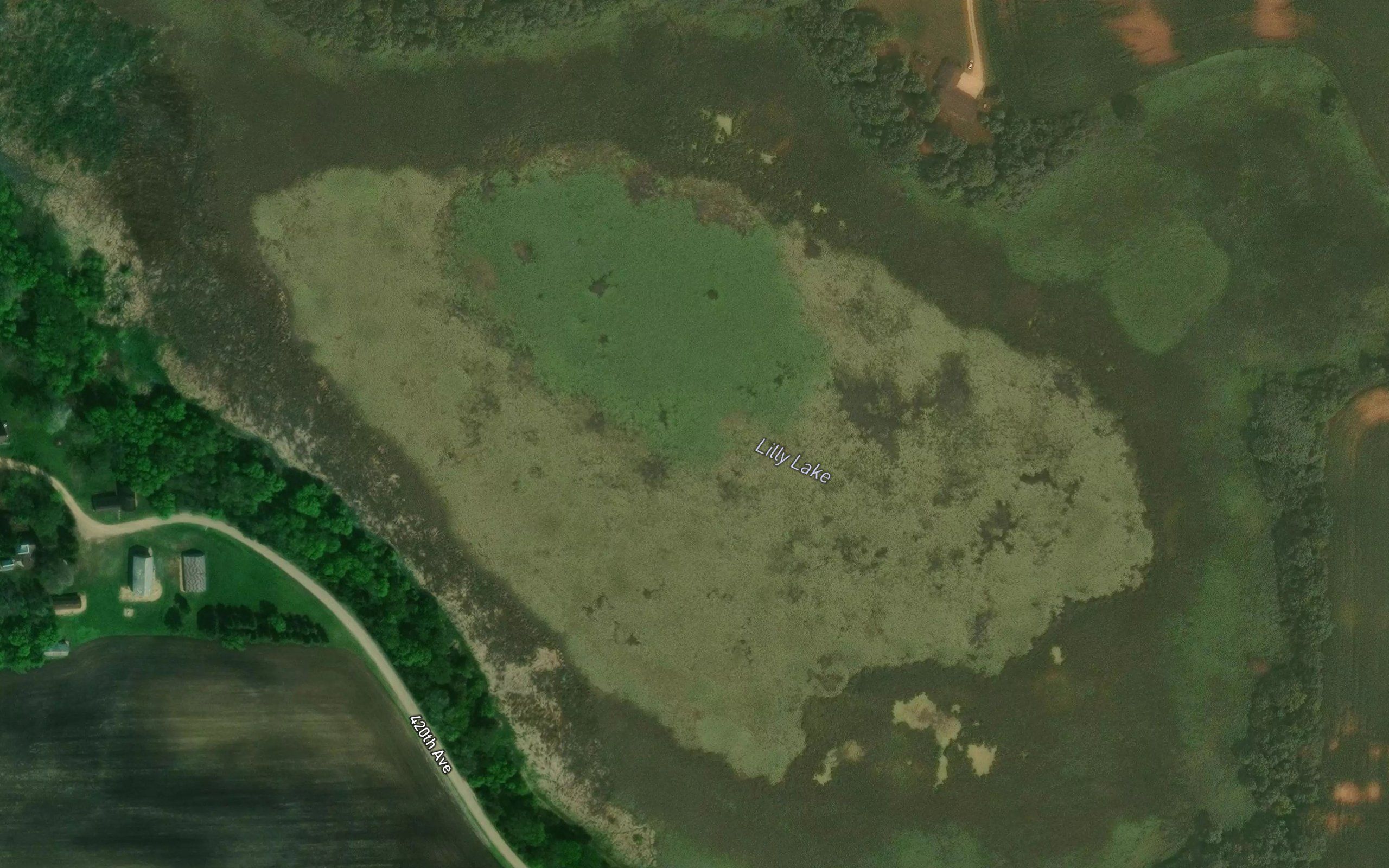Lilly Lake