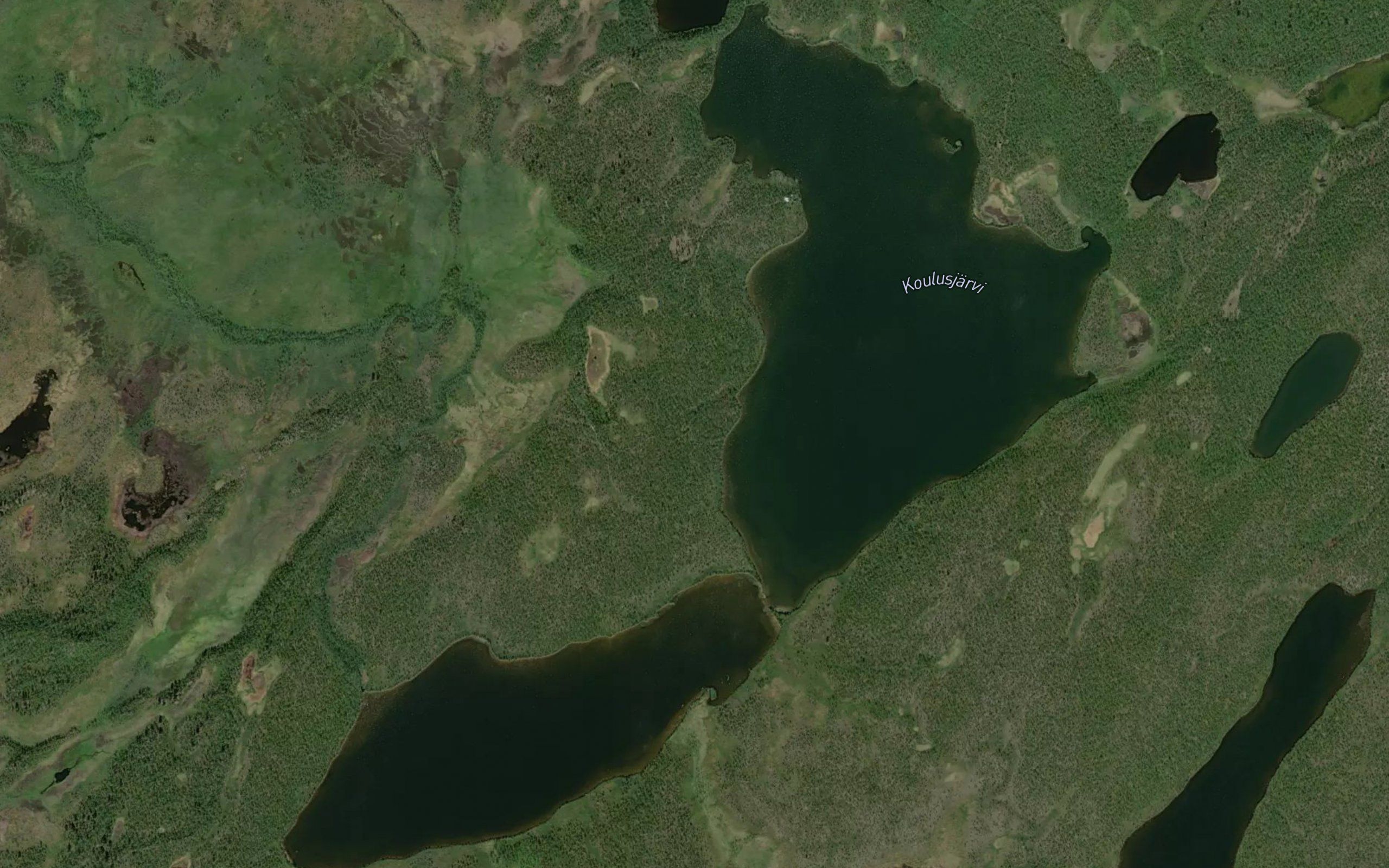 Koulusjaervi