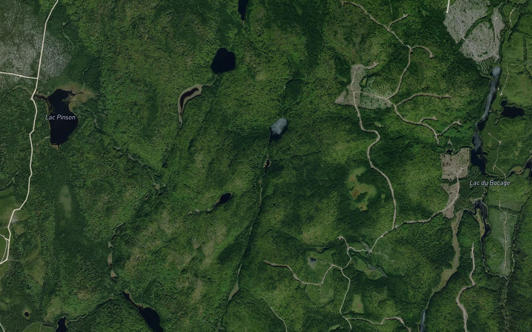 Satellite map of the Lac de la Miche