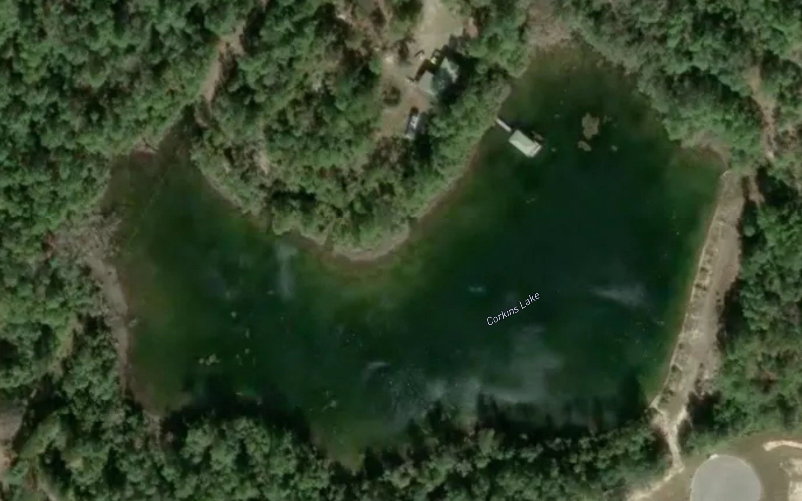 Corkins Lake