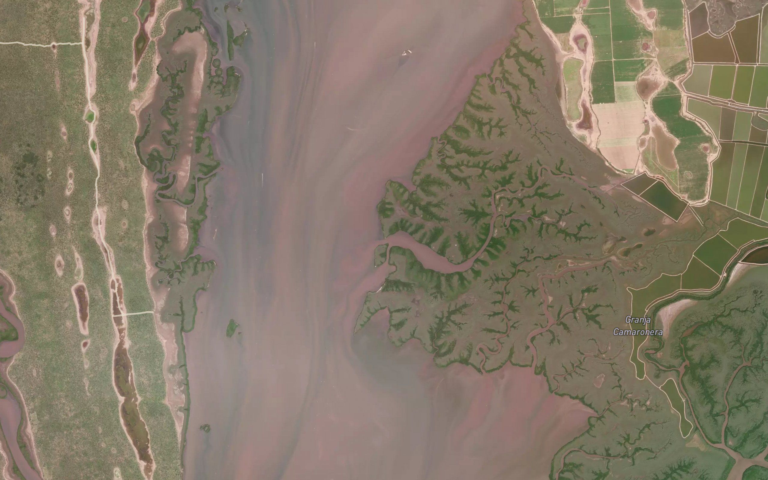Estero el Costal