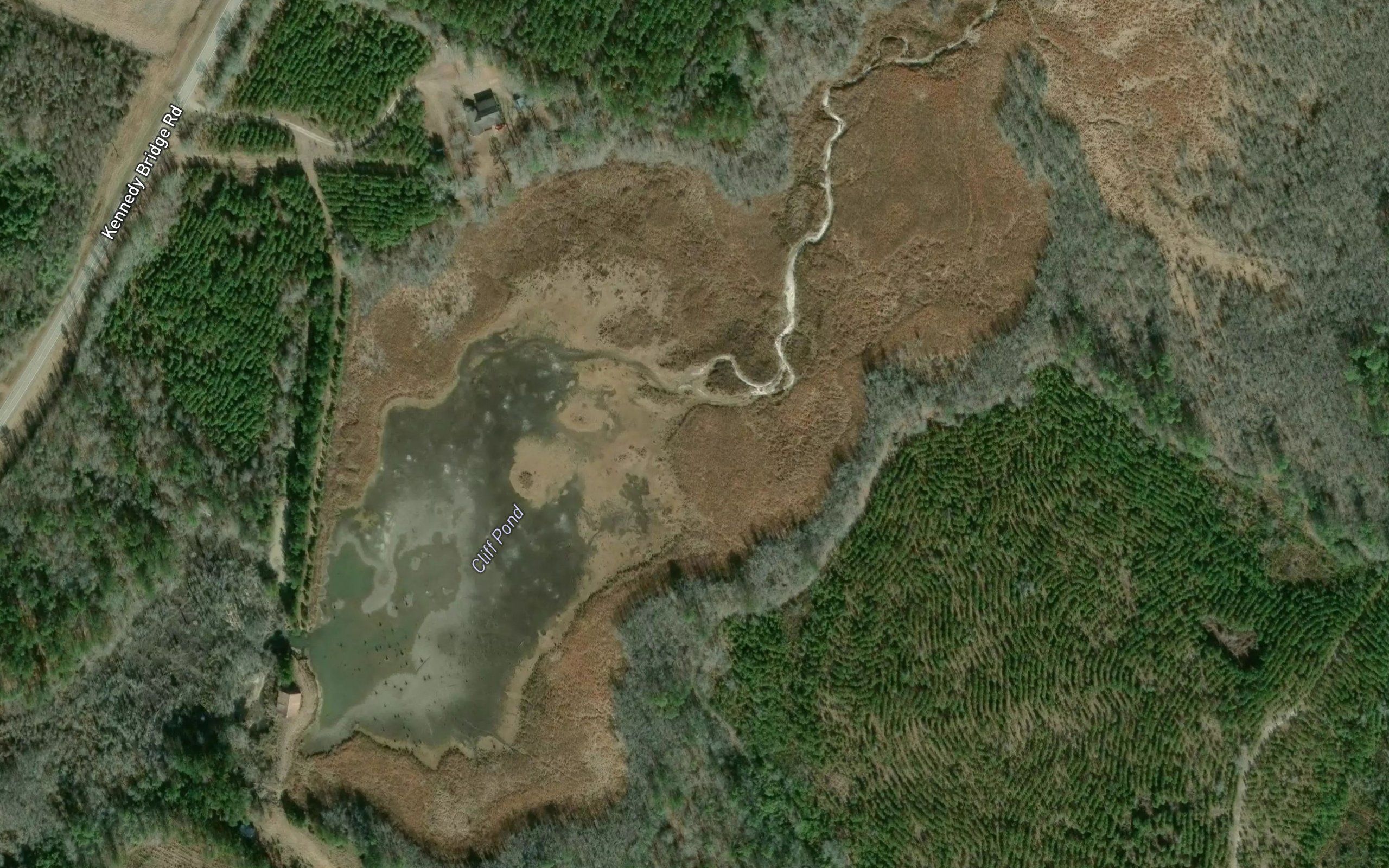 Oliff Pond