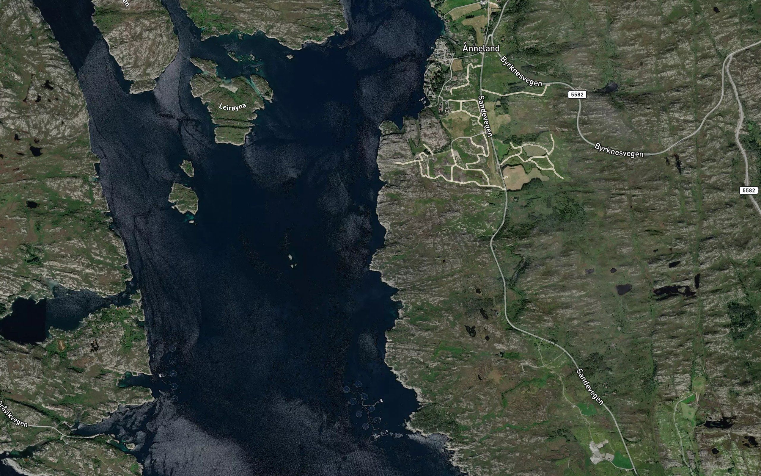 Bukkebergvika