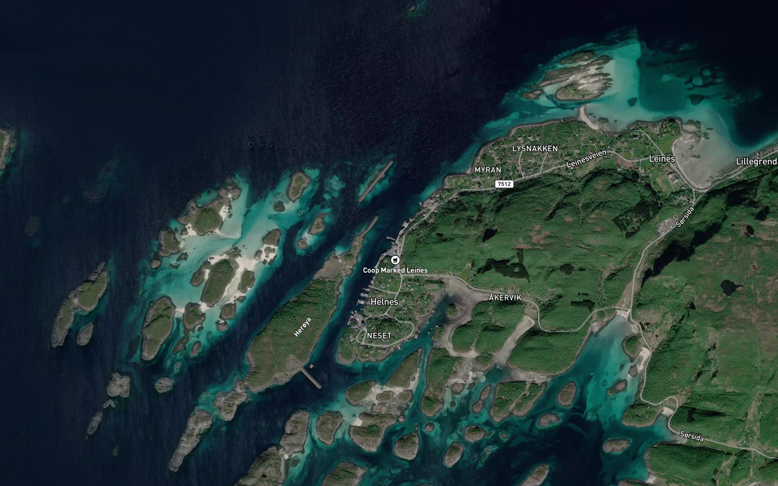 Arnakkvika