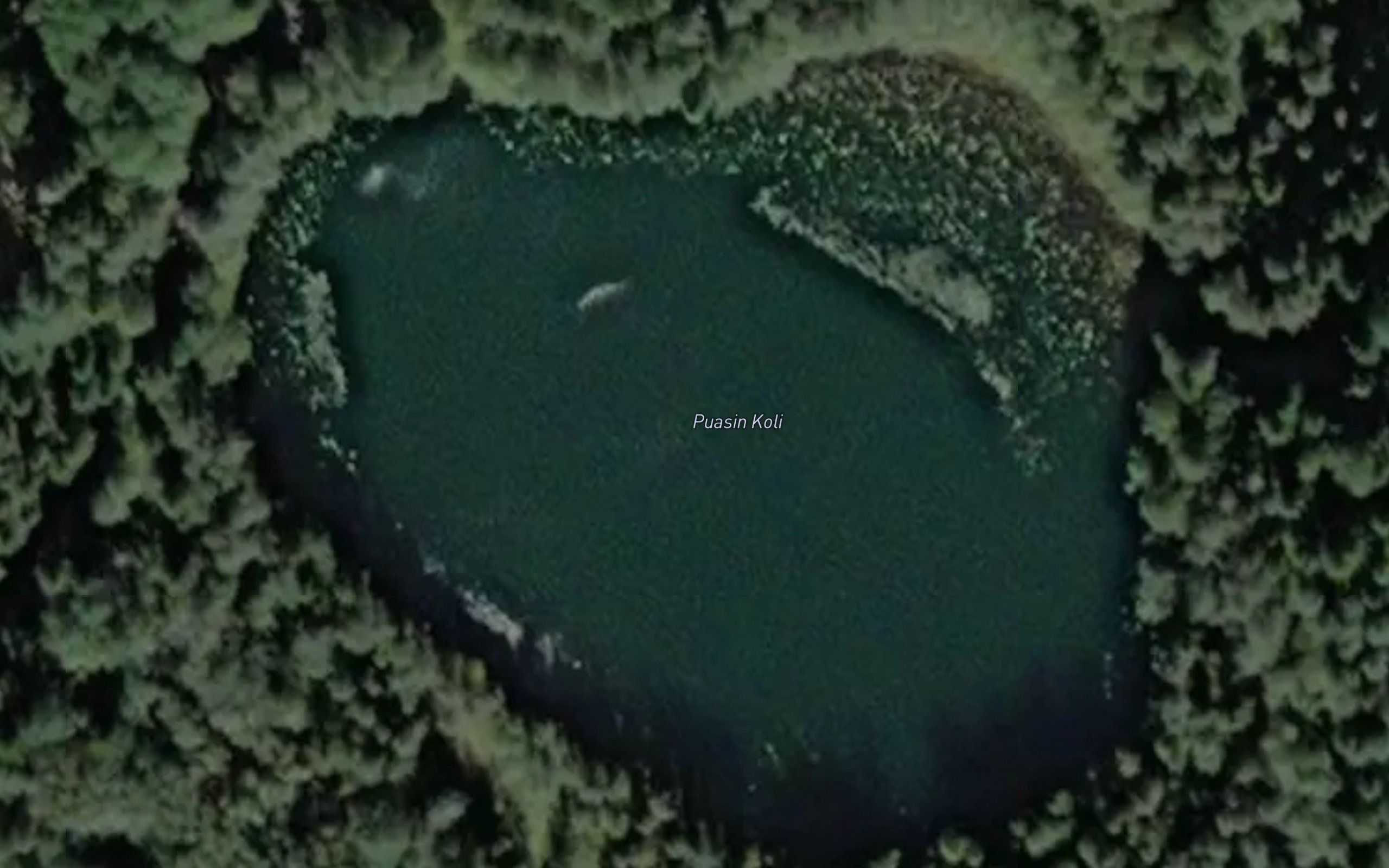 Puassin Koli