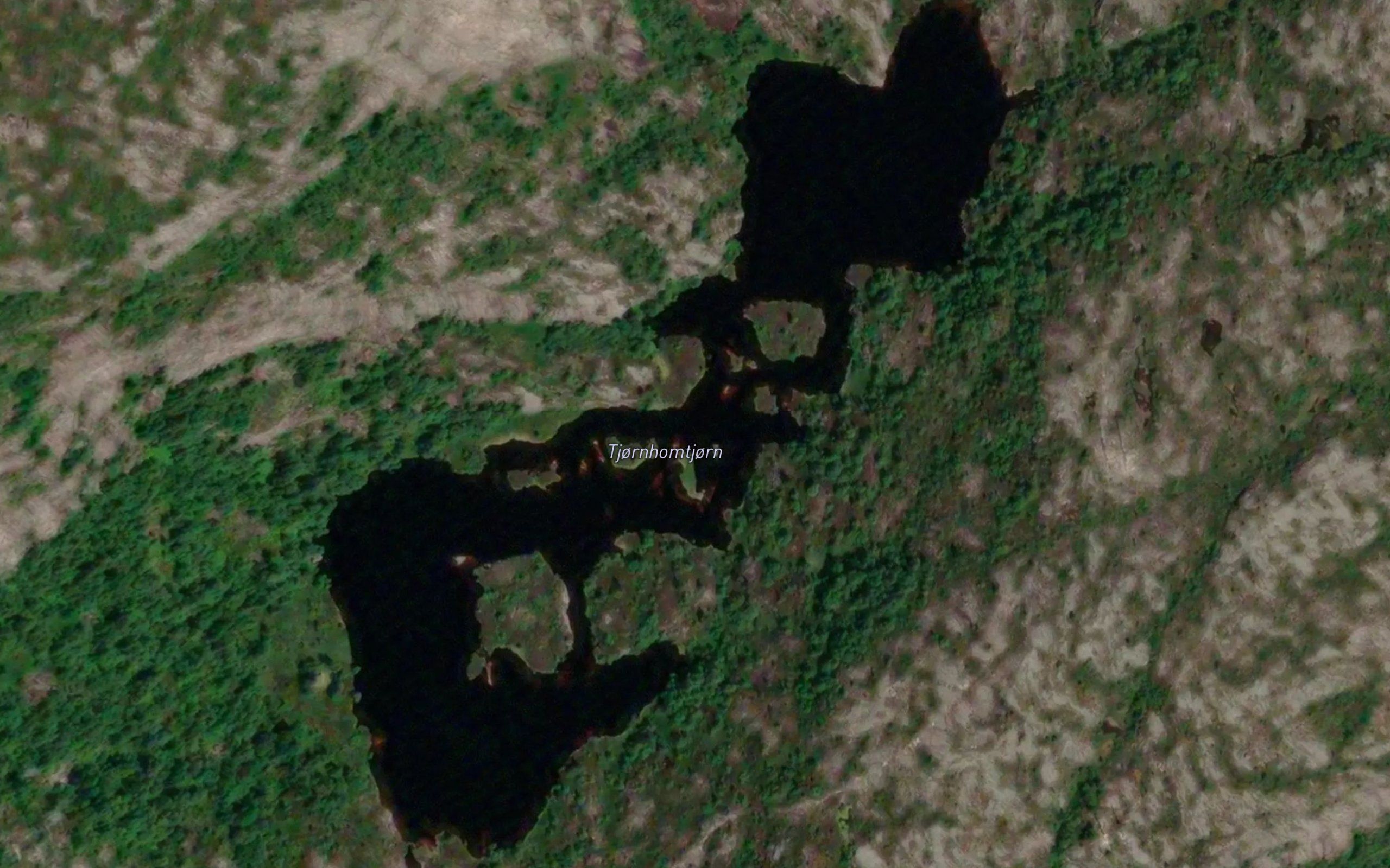 Tjornhomtjorn