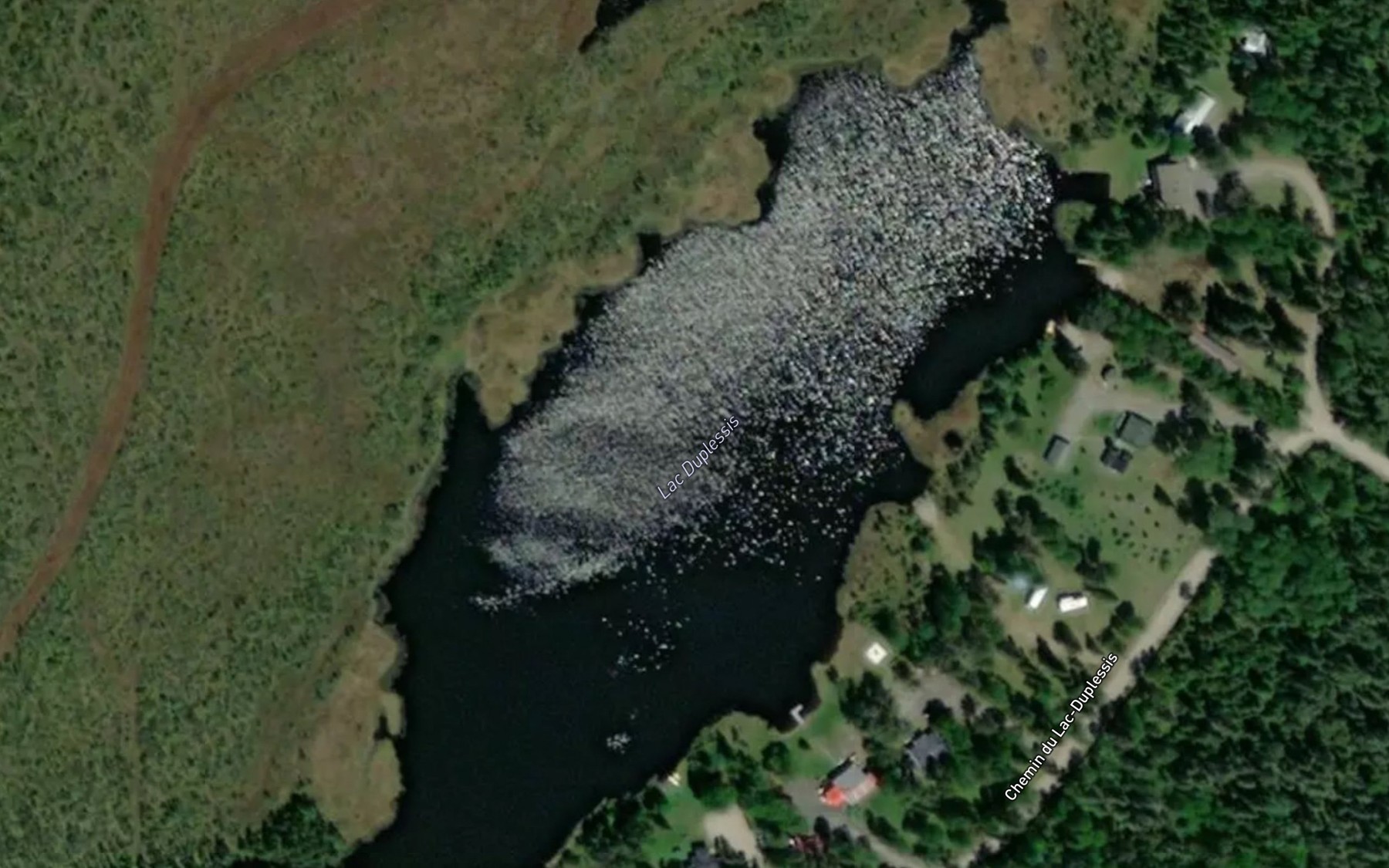 Satellite map of the Lac Duplessis