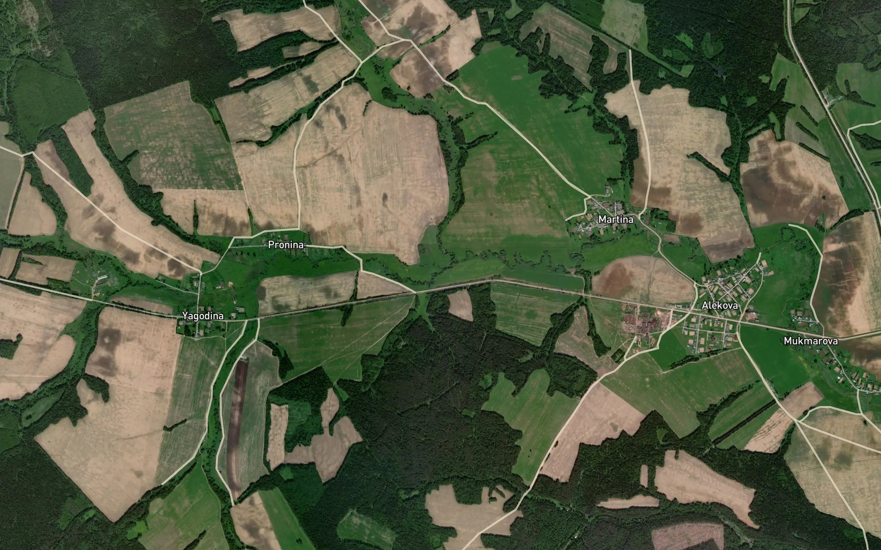 Satellite map of the Shor"yeg