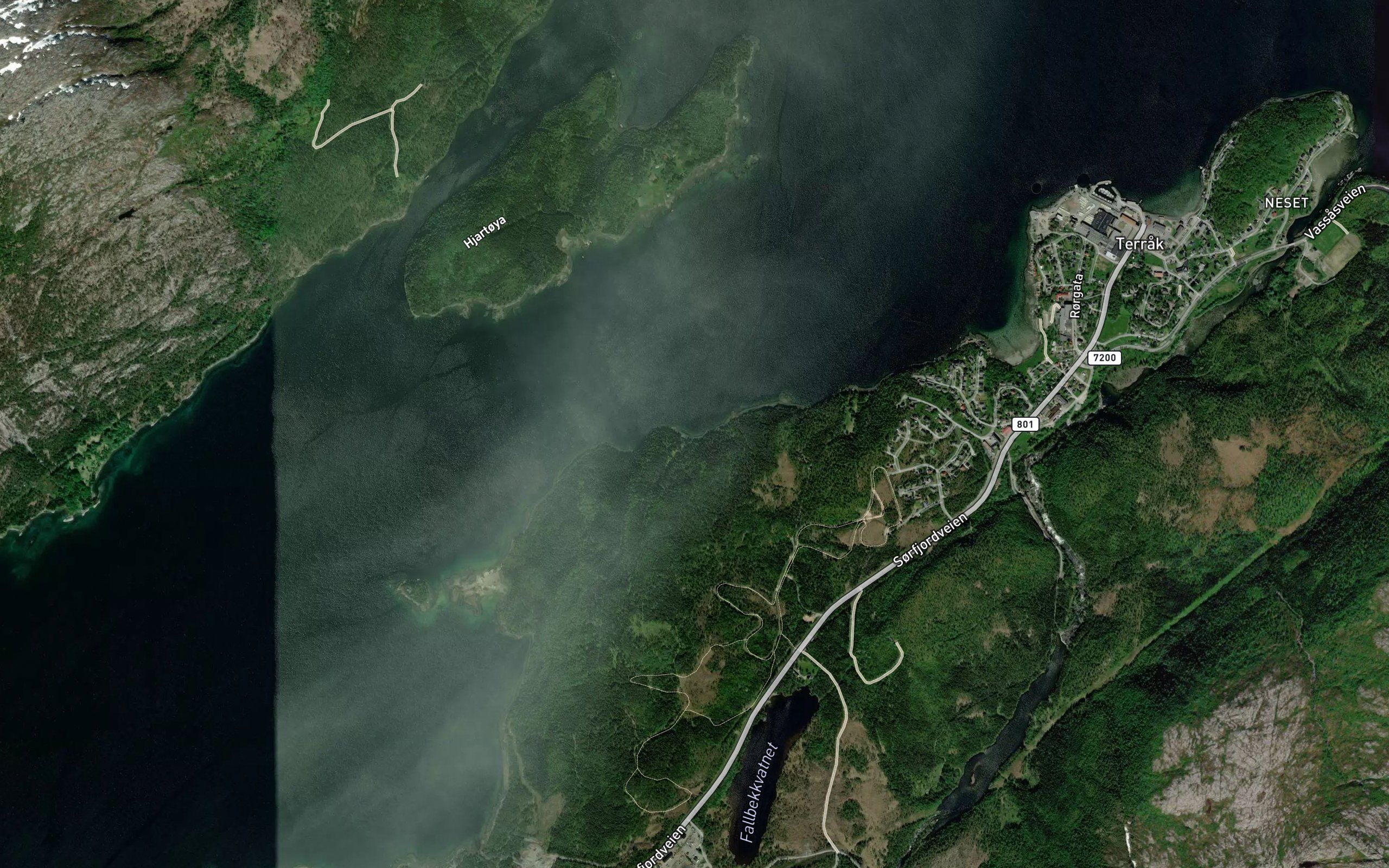 Mastervika