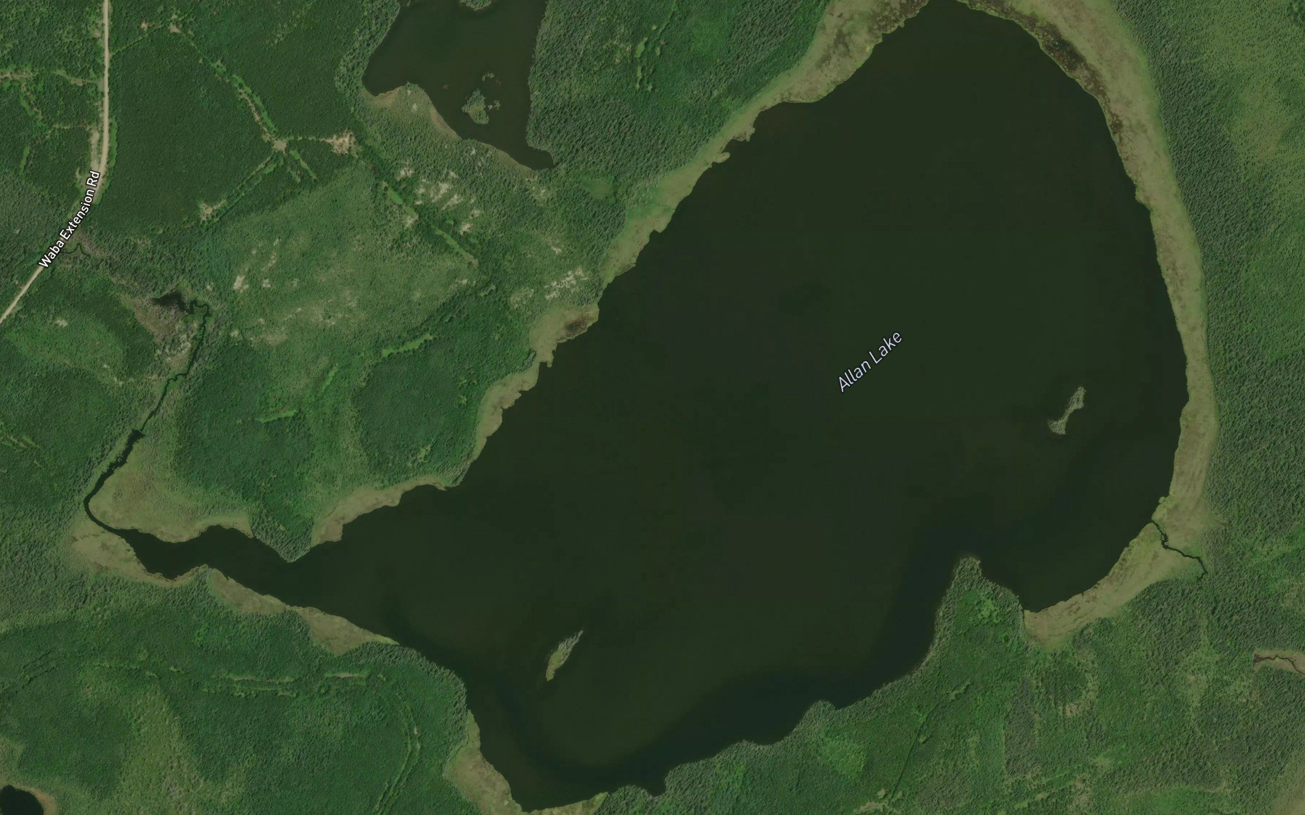 Allan Lake