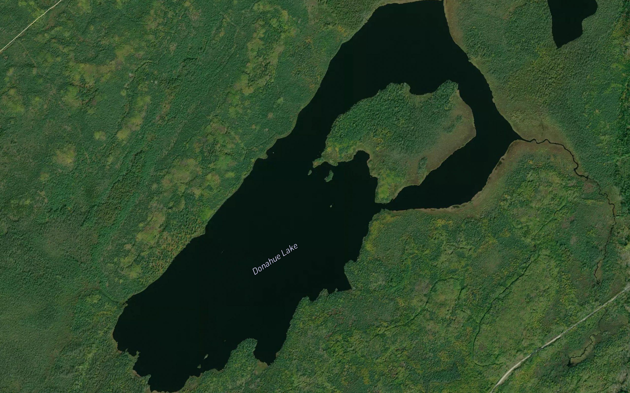 Donahue Lake