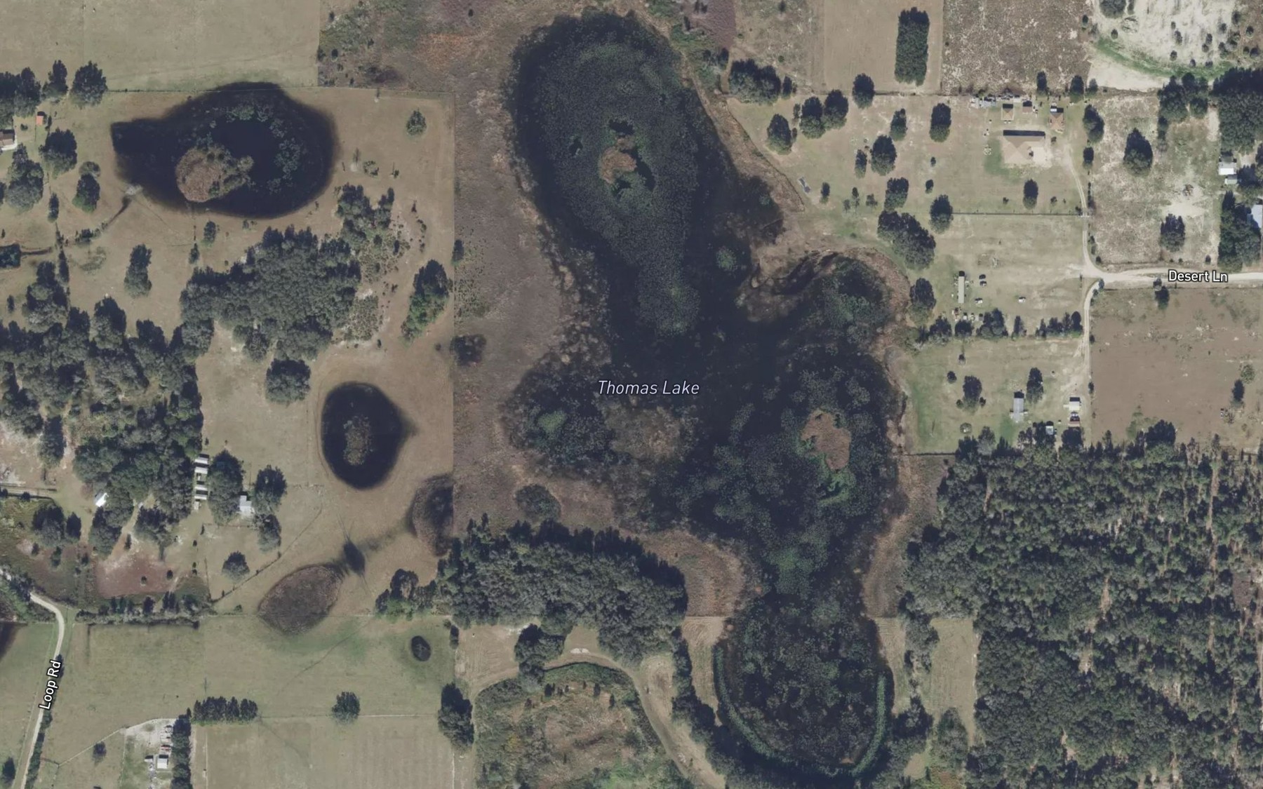 Satellite map of the Thomas Lake