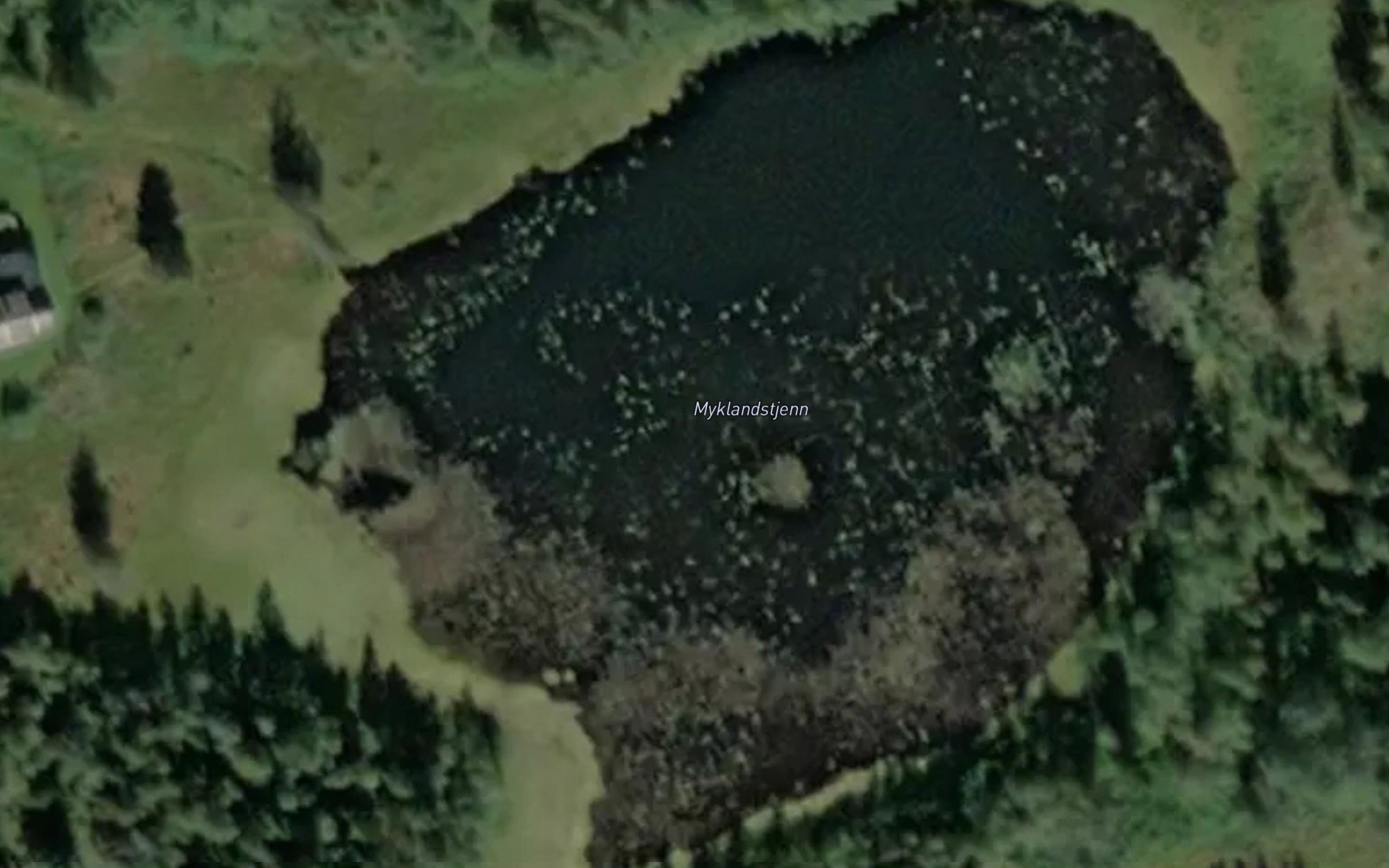 Myklandstjenn