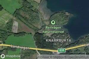 Vagaa