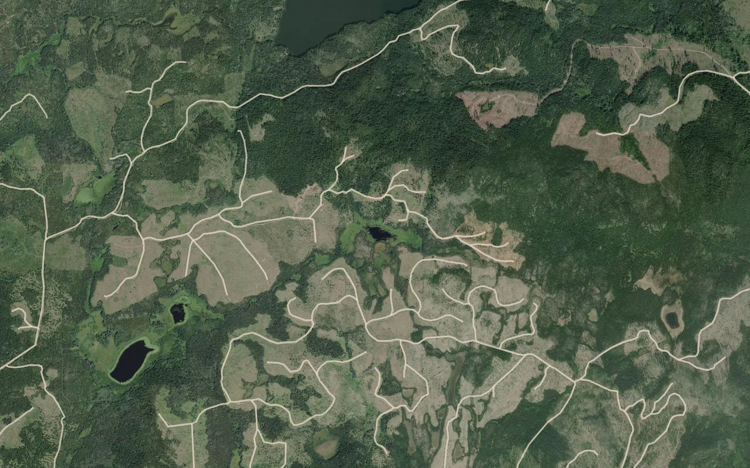 Carton Lake