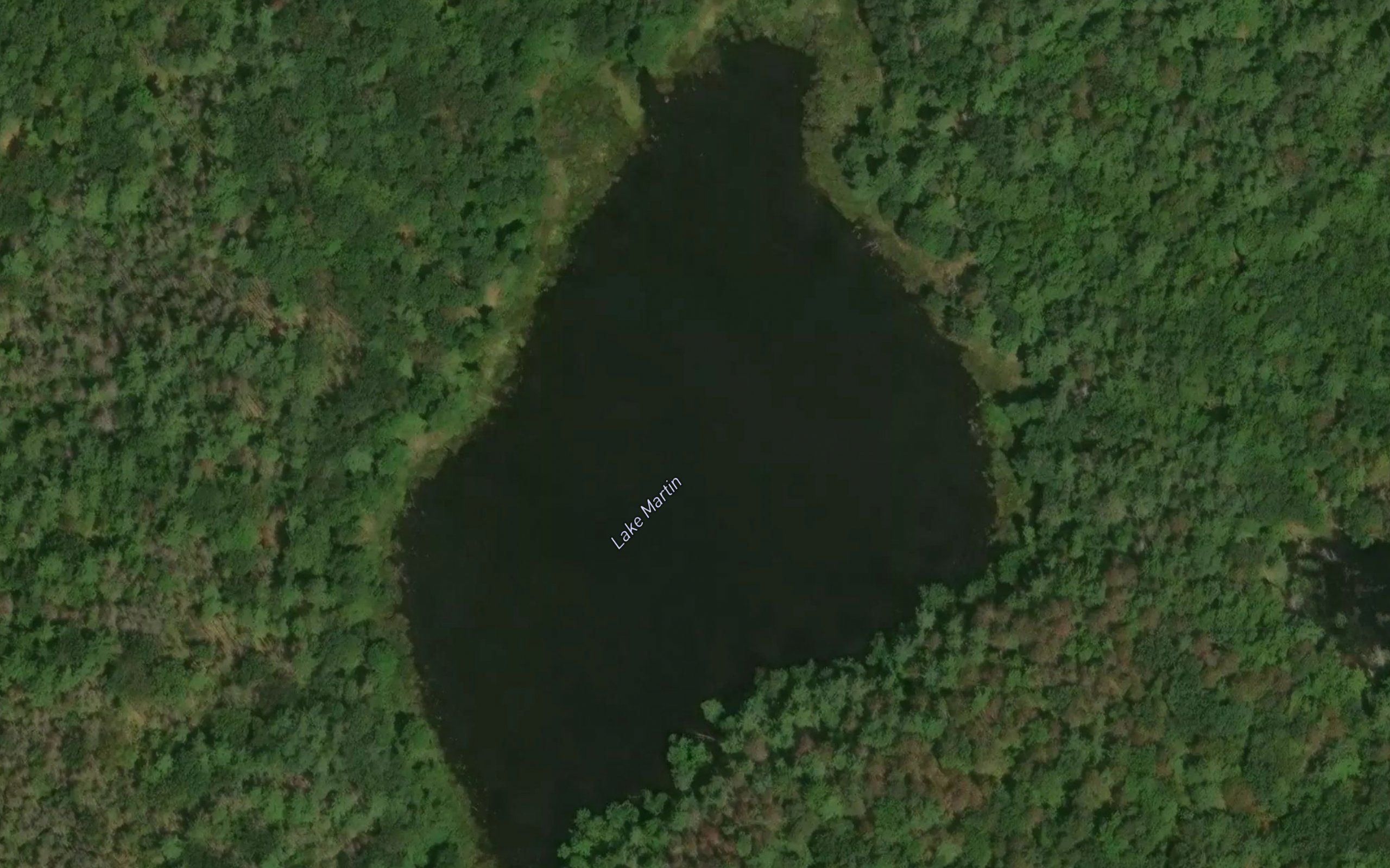 Lake Martin