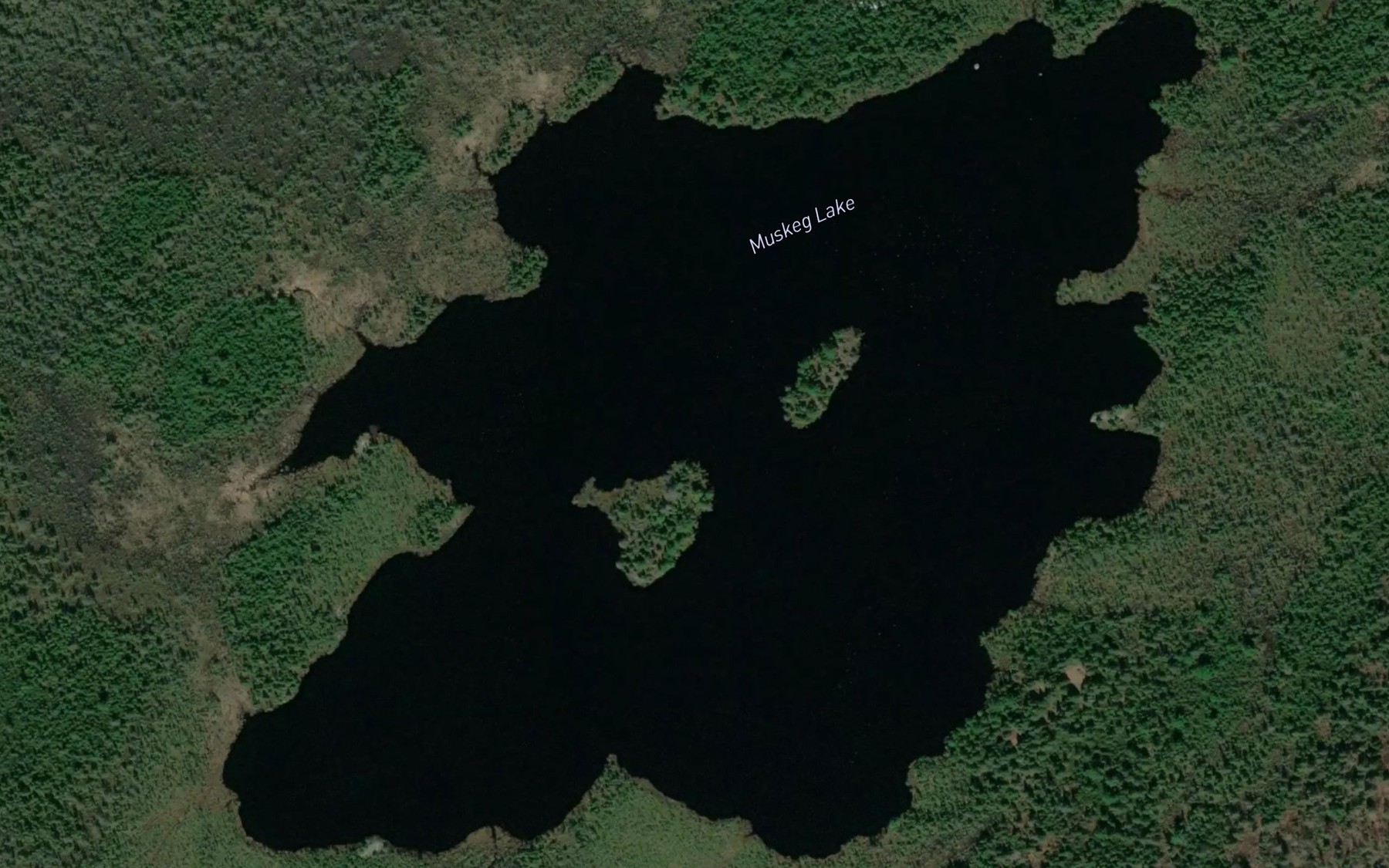 Satellite map of the Muskeg Lake