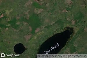 Salt Pond